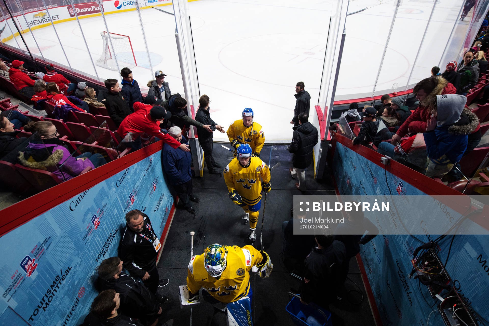 Sveriges målvakt Felix Sandström, Alexander Nylander och