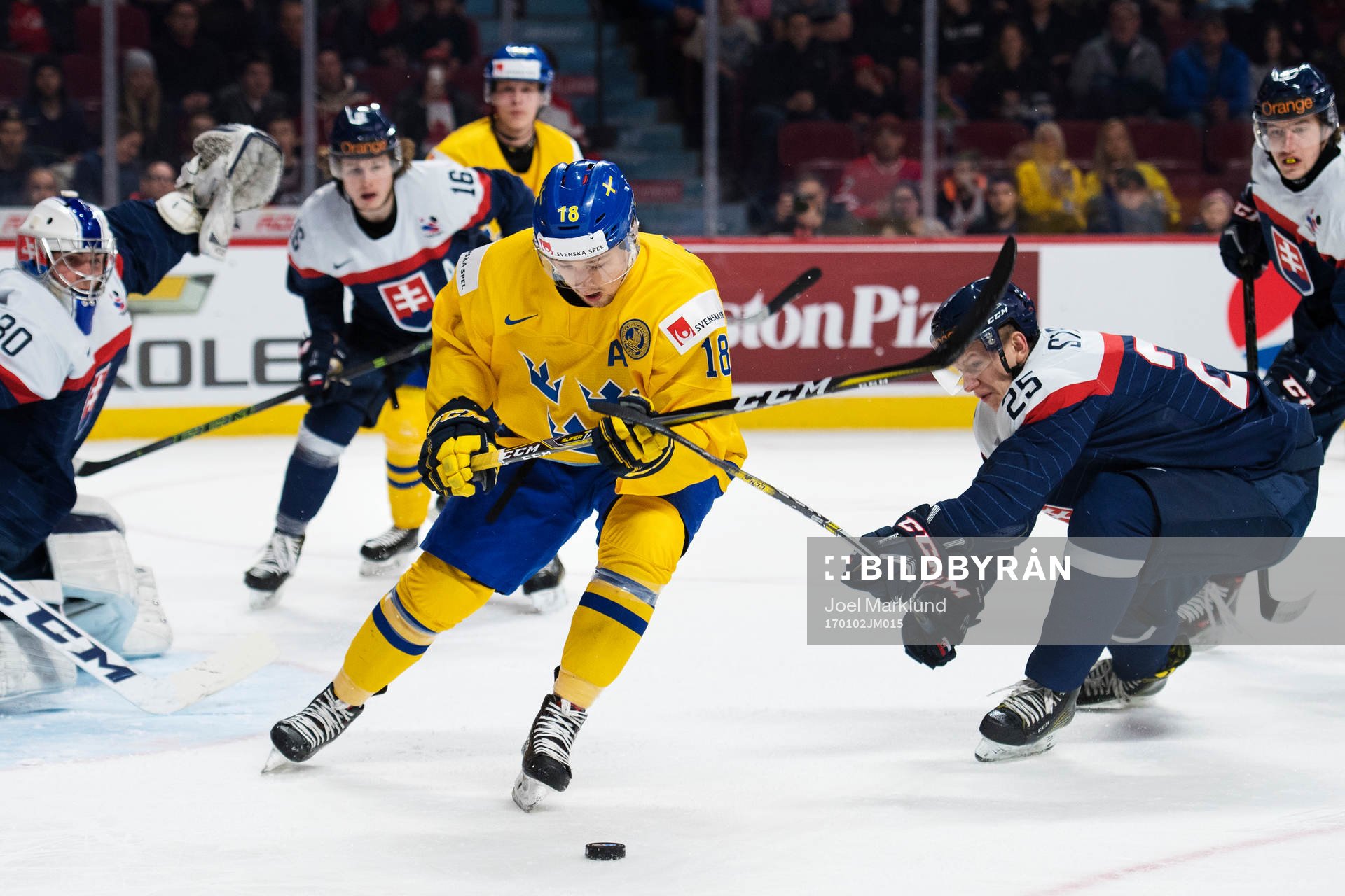 Sveriges Rasmus Asplund