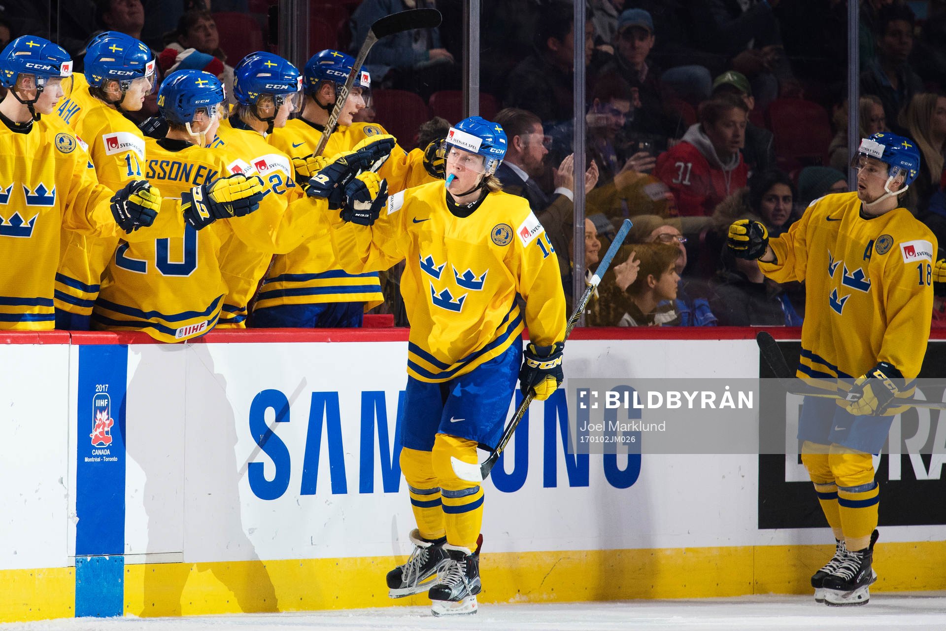 Sveriges Alexander Nylander jublar
