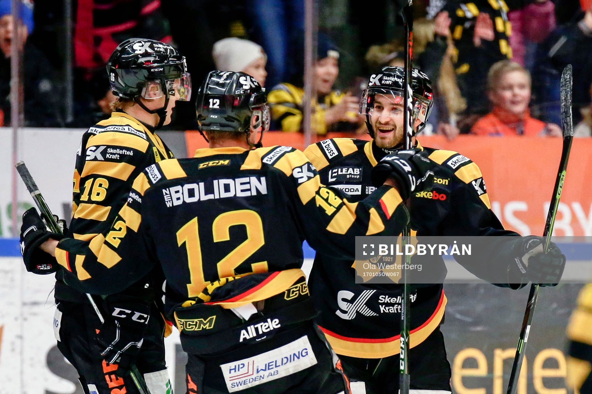 Skellefteås Andrew Calof jublar