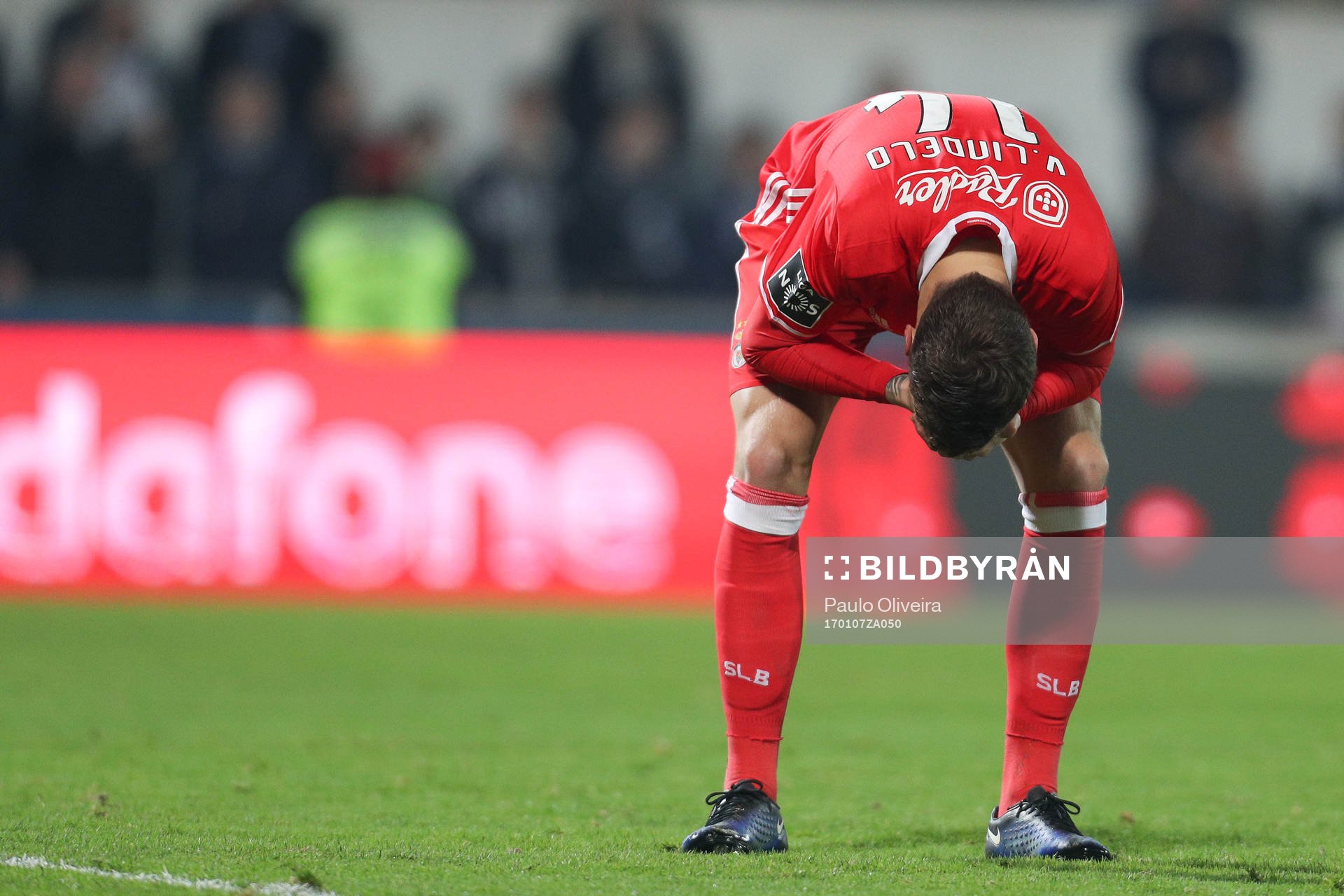 Benfica's Swedish defender Victor Nilsson Lindelöf