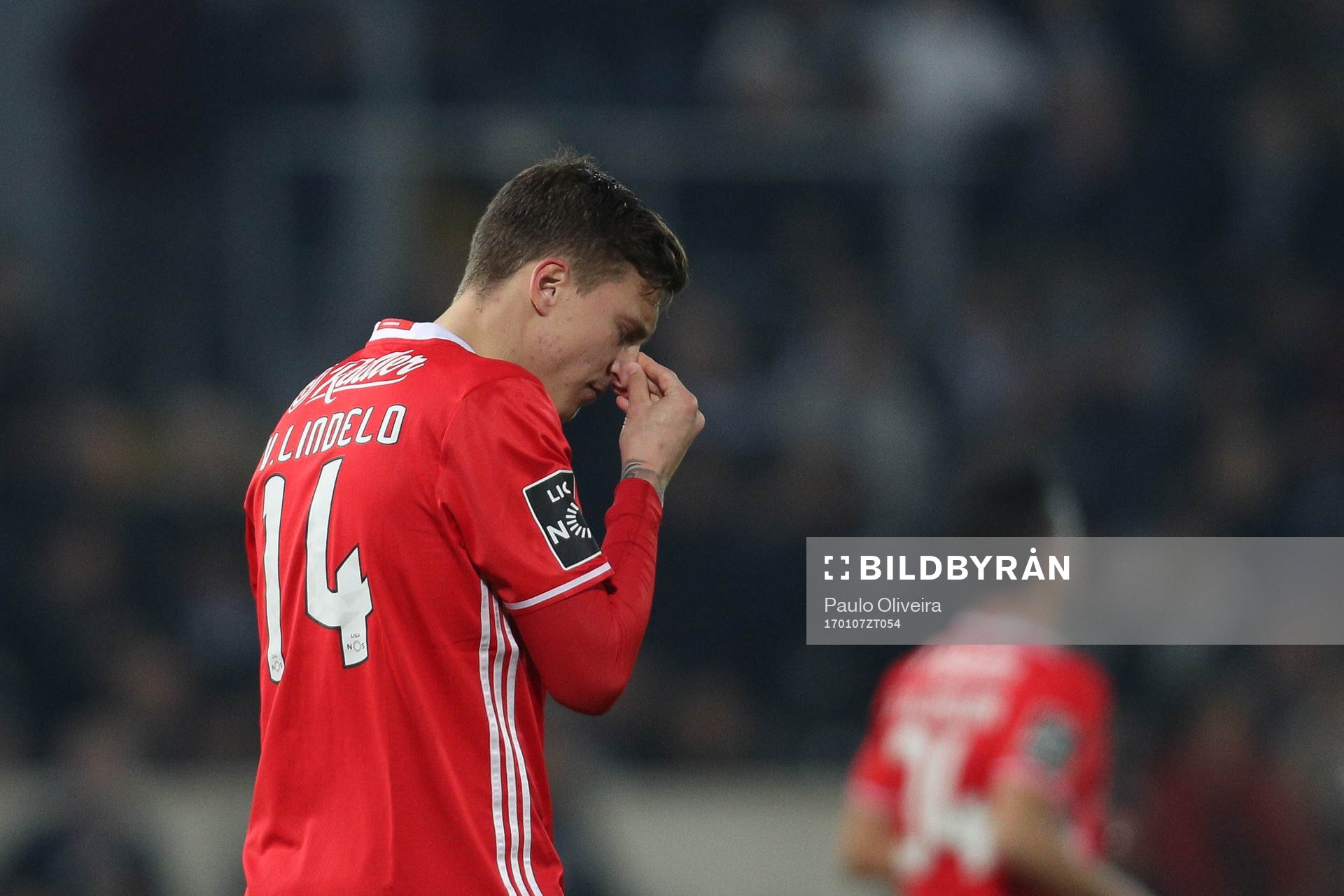 Benfica's Swedish defender Victor Nilsson Lindelöf