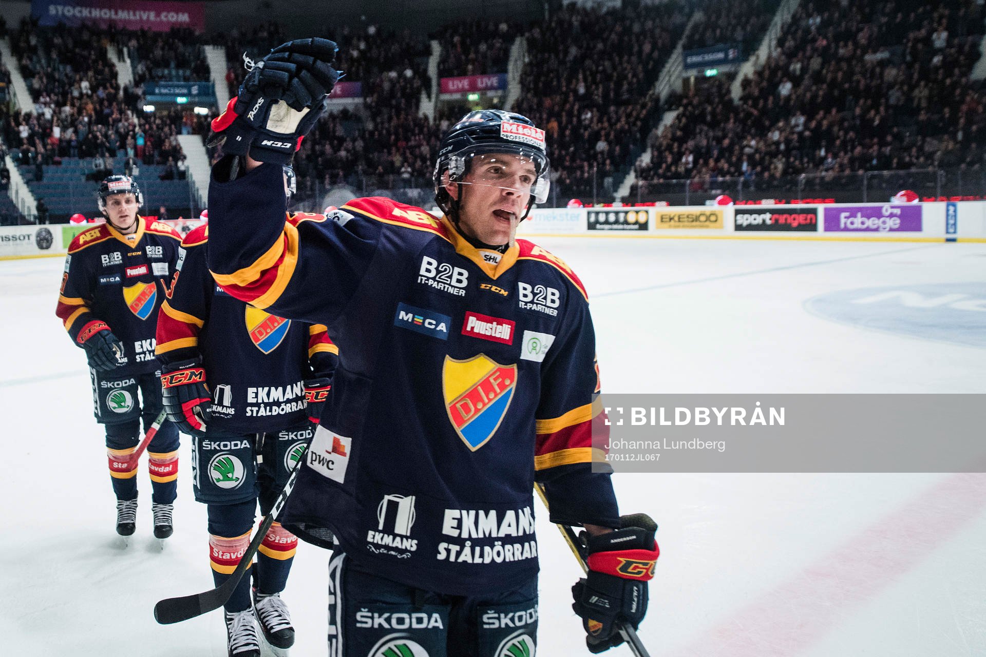 Djurgårdens Matt Anderson jublar