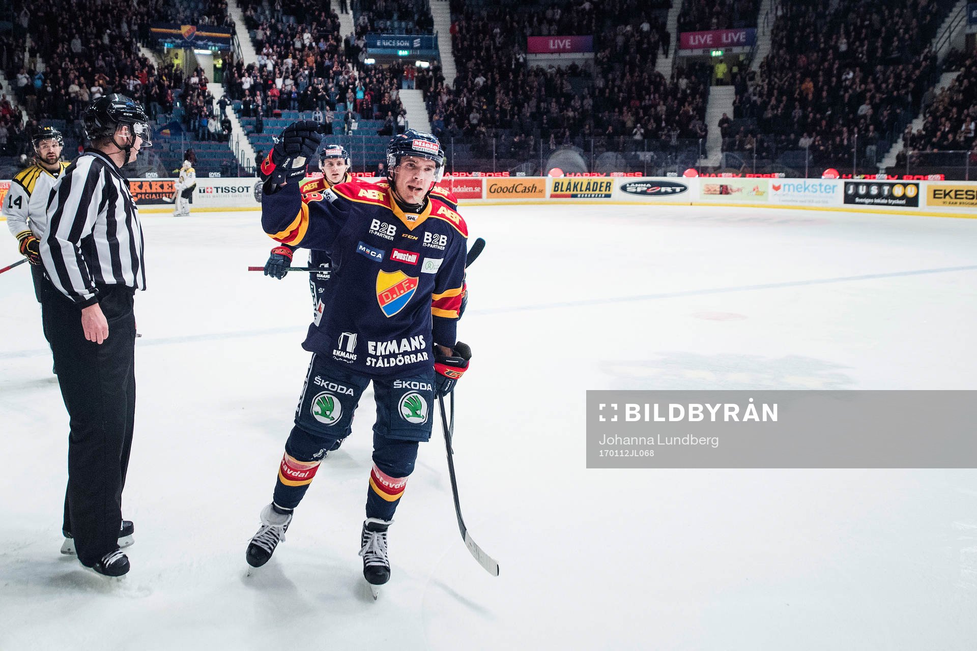 Djurgårdens Matt Anderson jublar