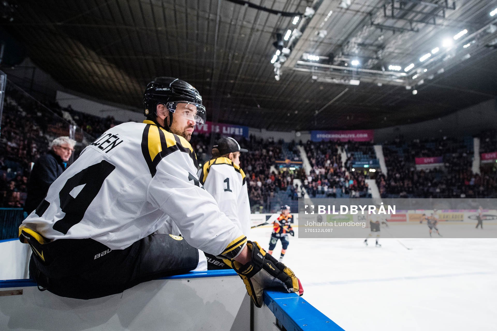 Brynäs Johan Alcén