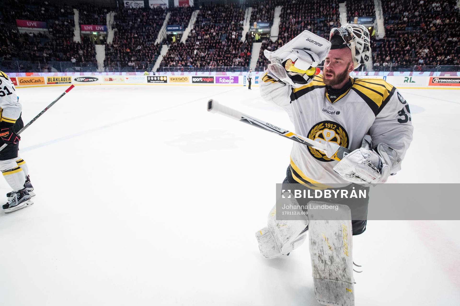 Brynäs målvakt David Rautio