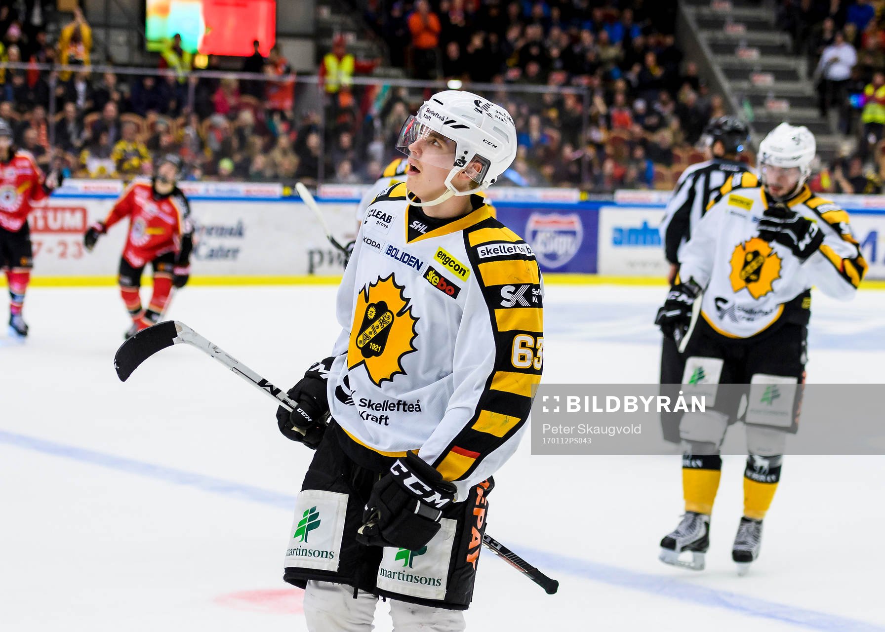 Skellefteås Sebastian Aho deppar