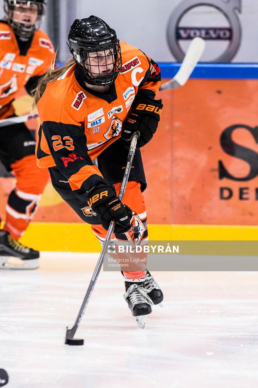 Karlskronas Haley Northcote