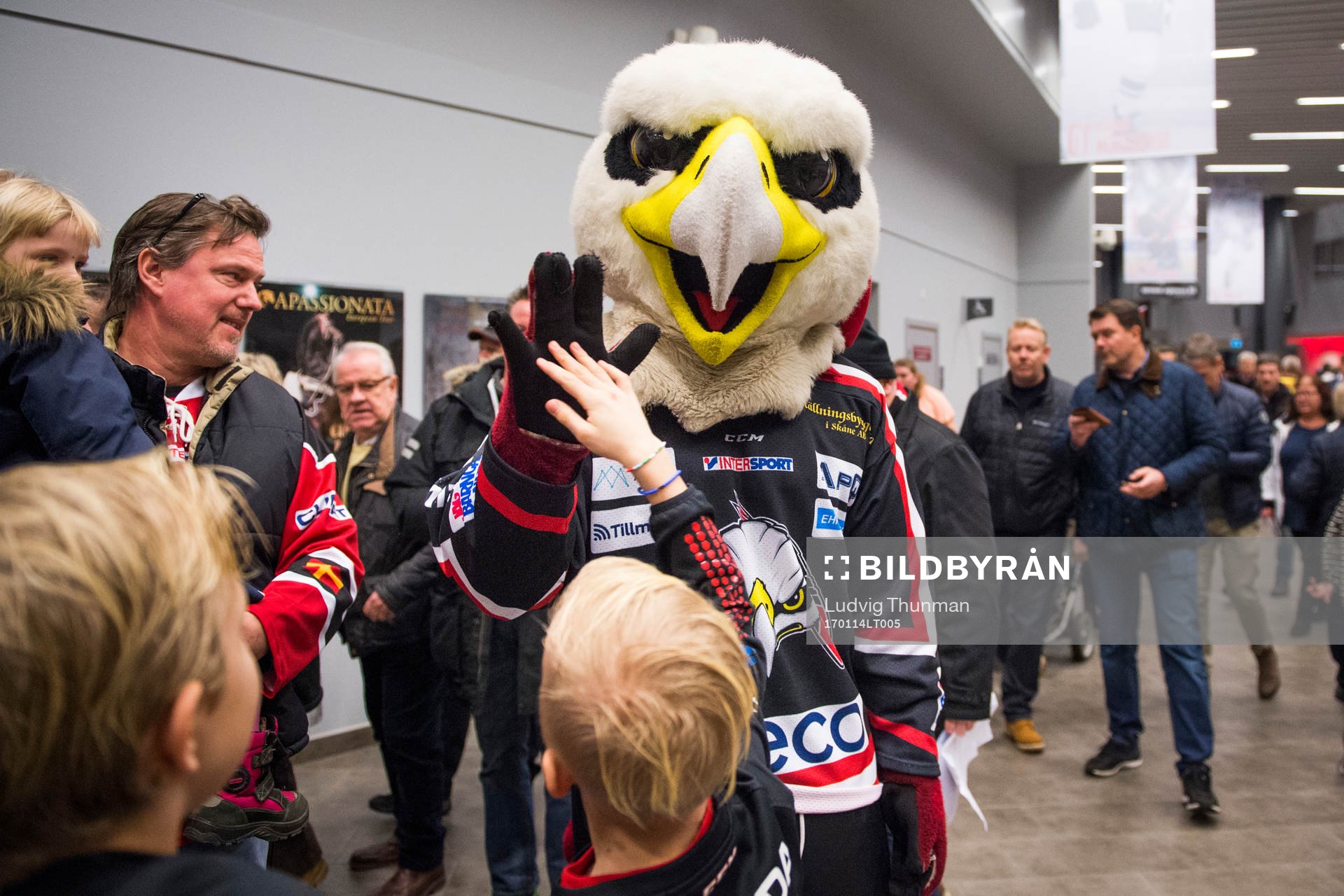 Malmö Redhawks maskot Hawkan träffar supportrar