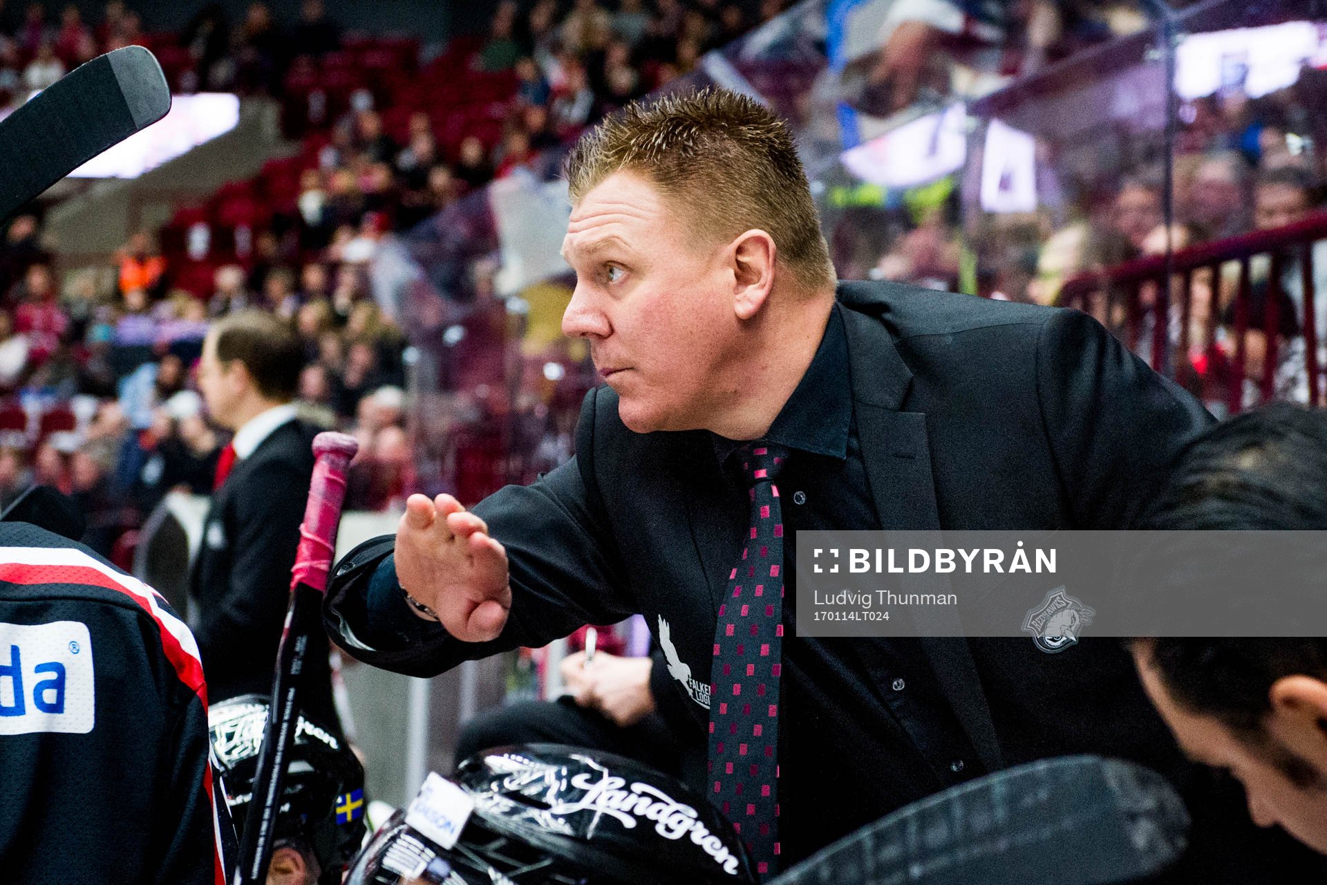 Malmö Redhawks assisterande tränare Jesper Mattsson