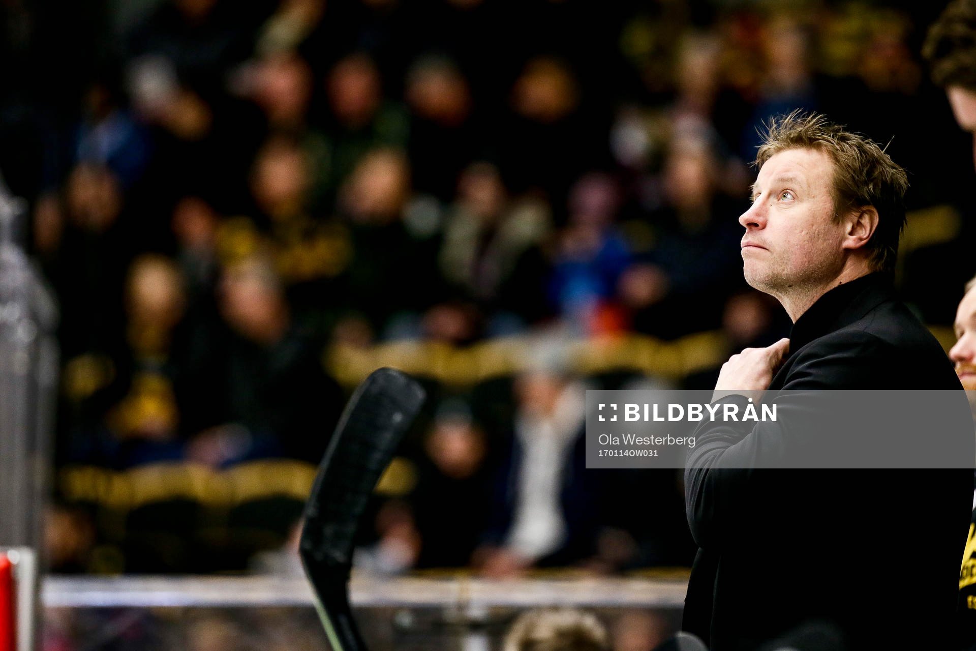 Skellefteås tränare Fredrik Öberg
