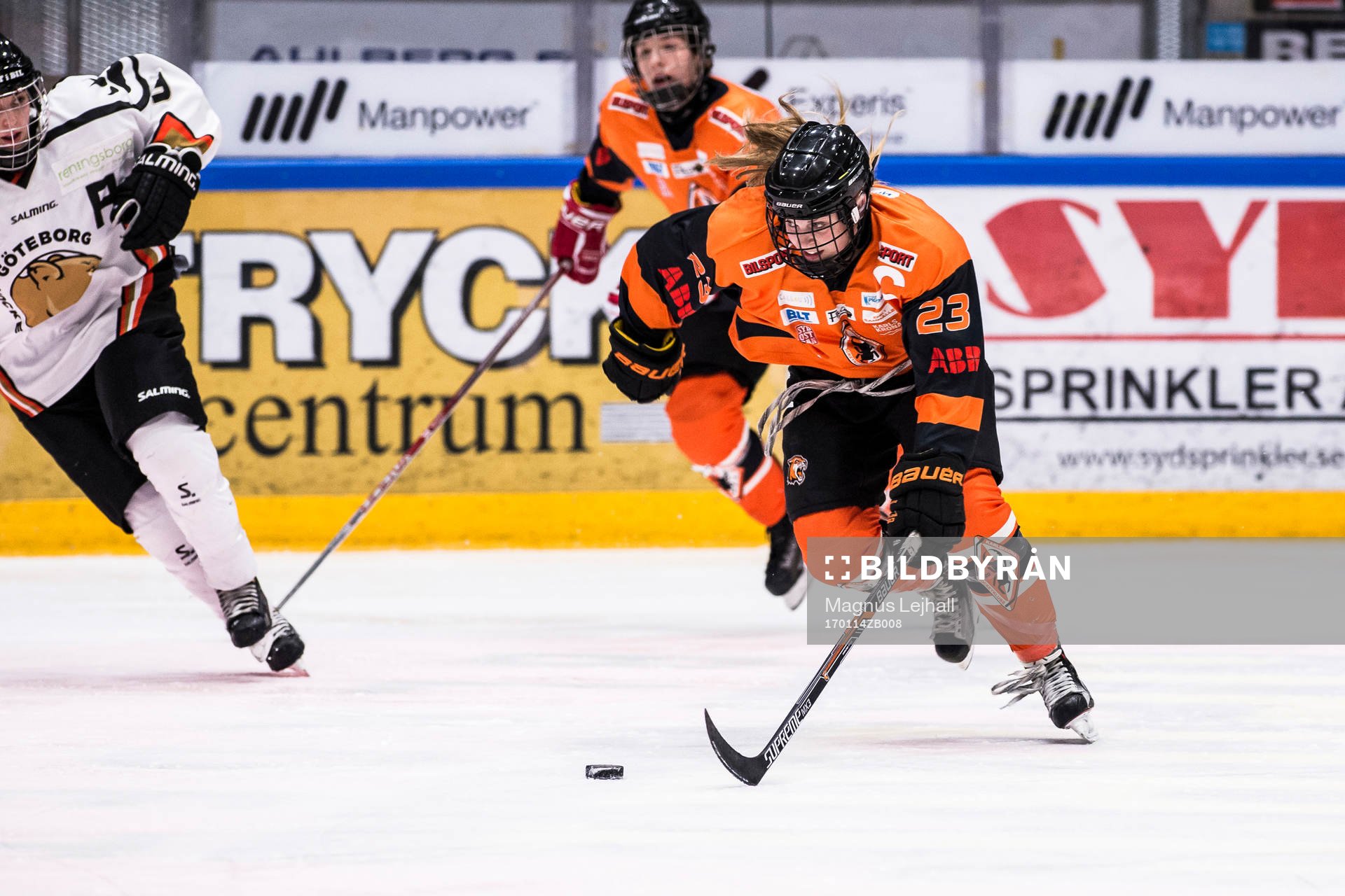 Karlskronas Haley Northcote