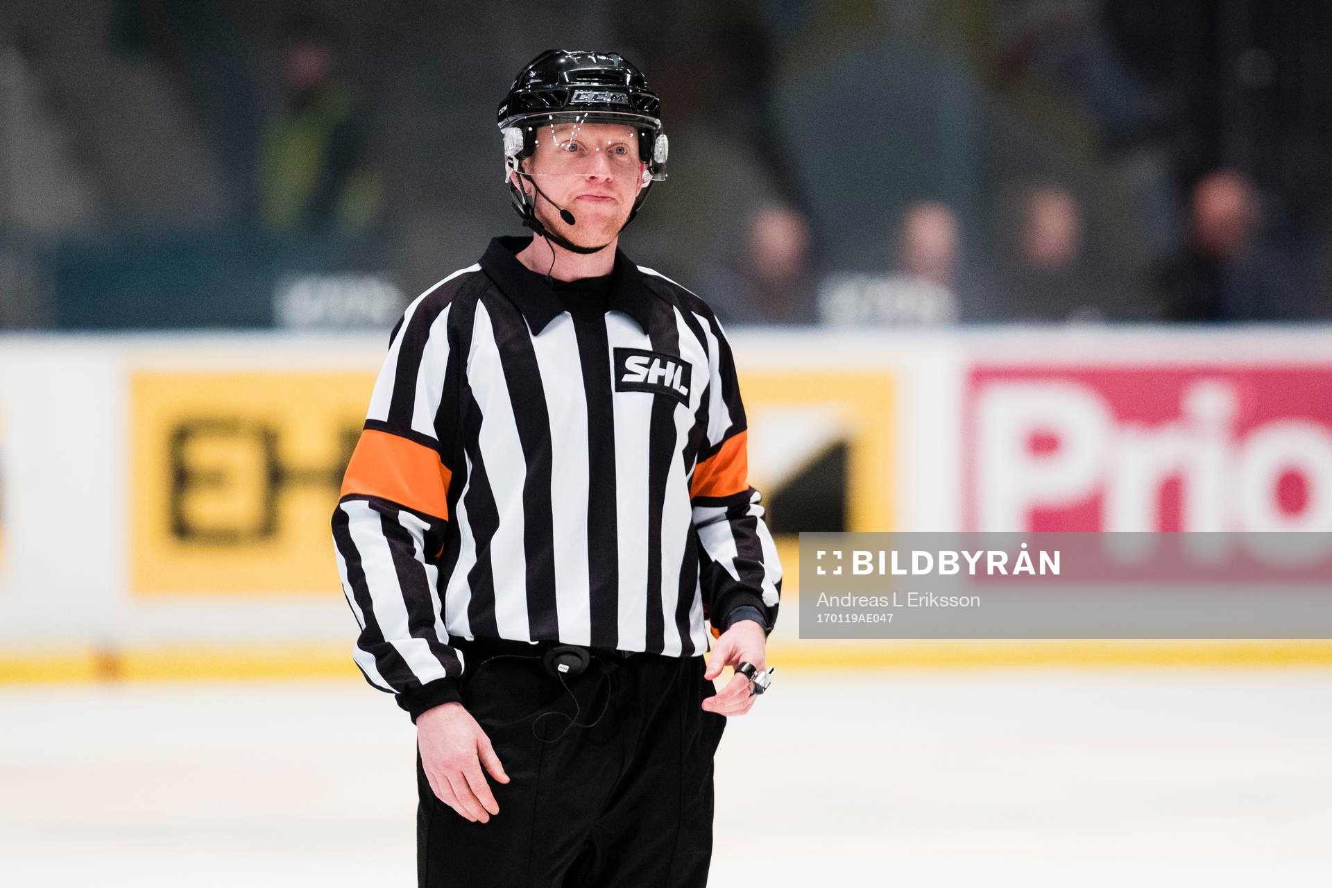 Domare Mikael Holm