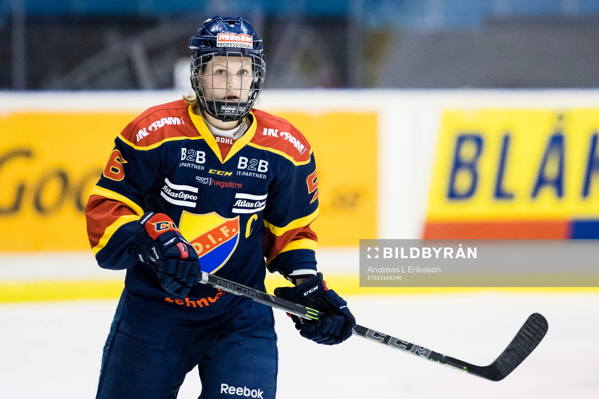Djurgårdens Alexandra Palm