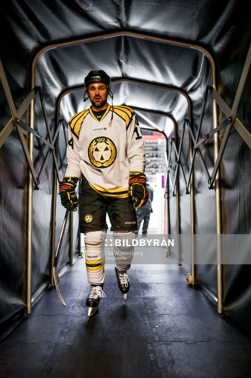Brynäs Johan Alcén