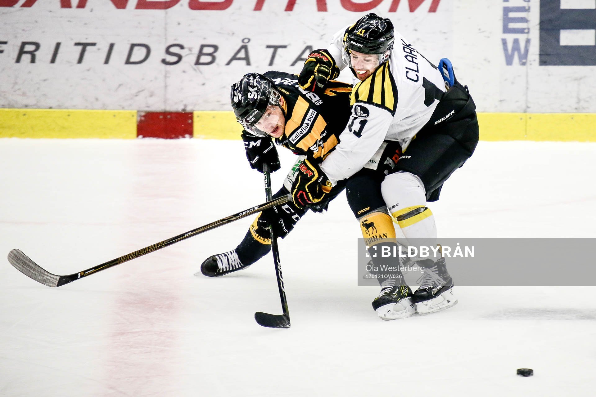 Skellefteås Adam Pettersson