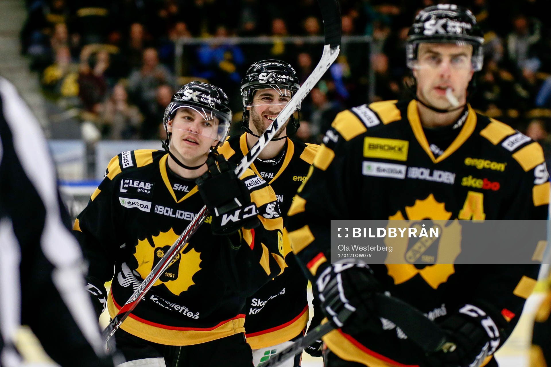 Skellefteås Sebastian Aho jublar