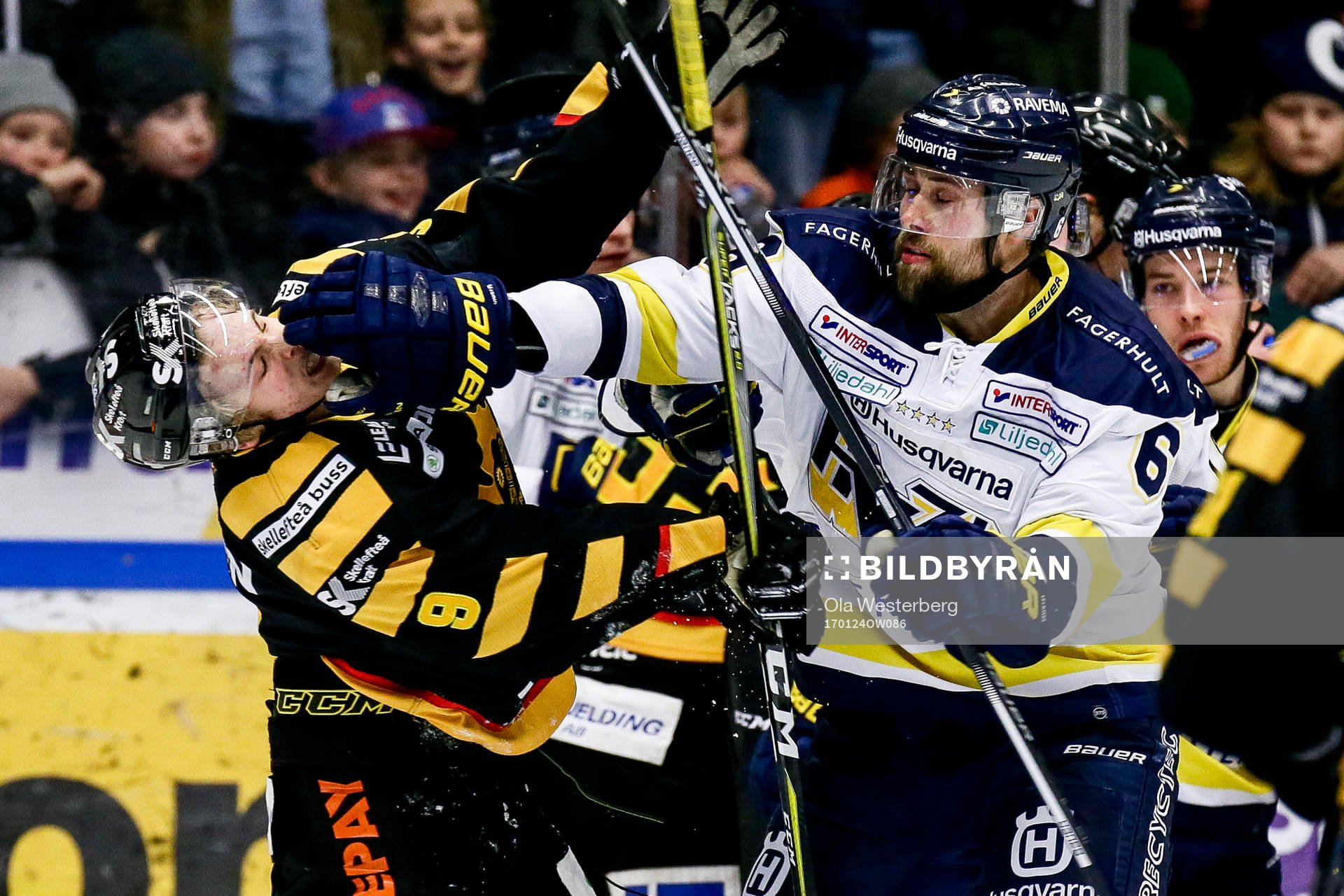 Skellefteås Tim Söderlund