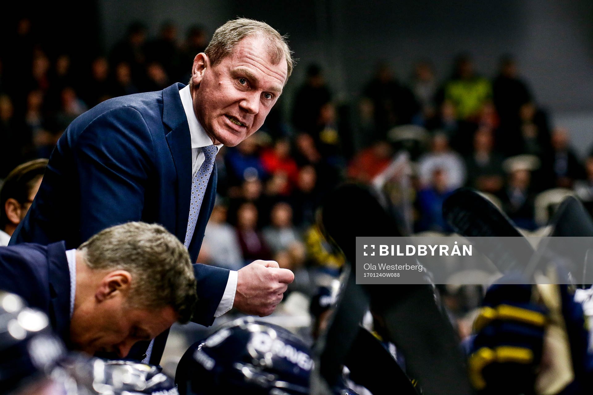 Hv71 tränare Johan Lindbom