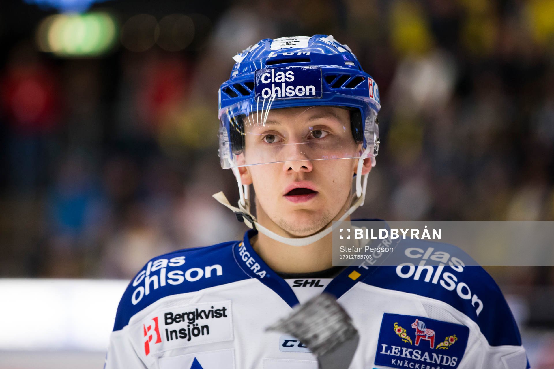 Leksands Daniel Bertov