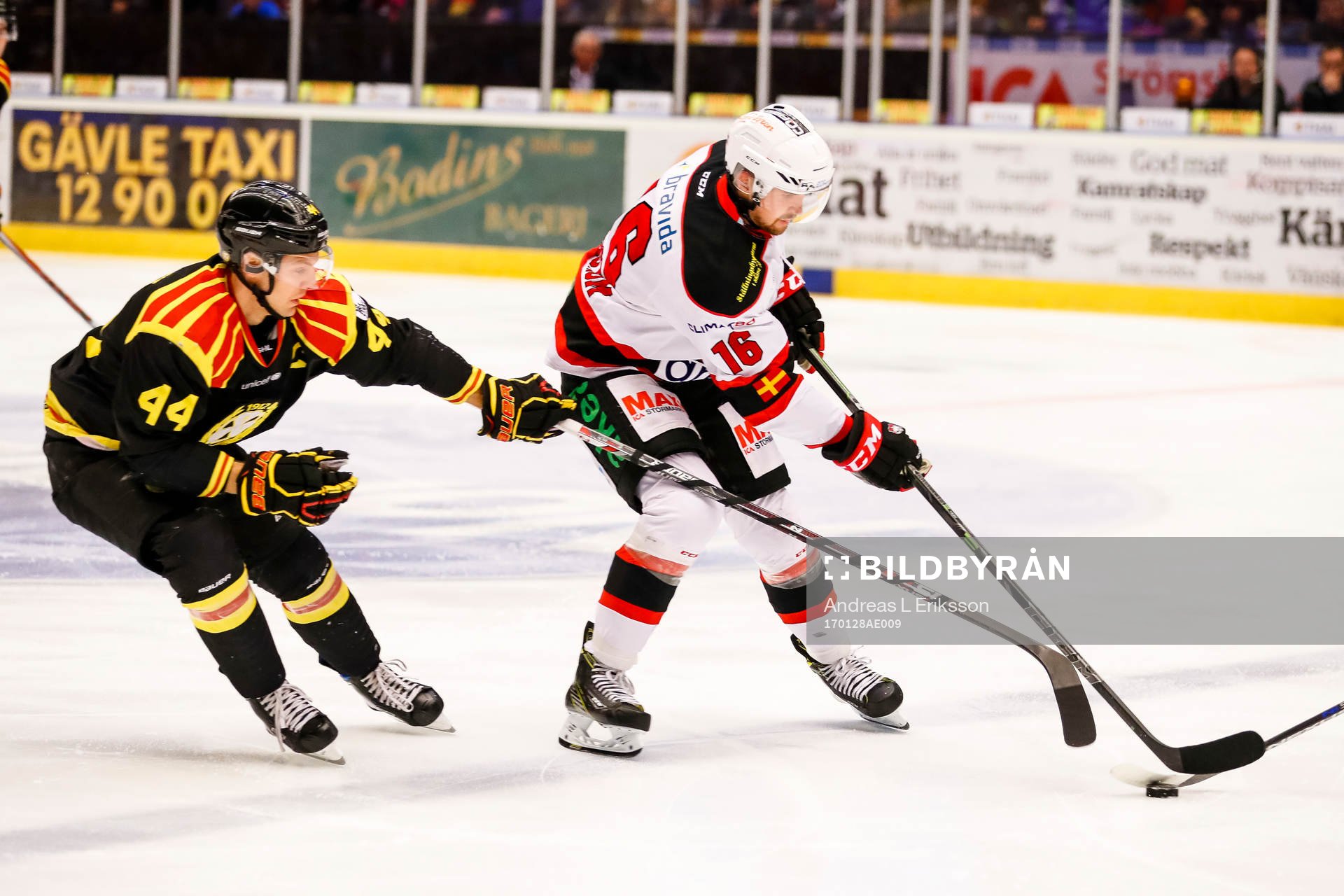Brynäs Jacob Blomqvist och Malmö Redhawks Magnus