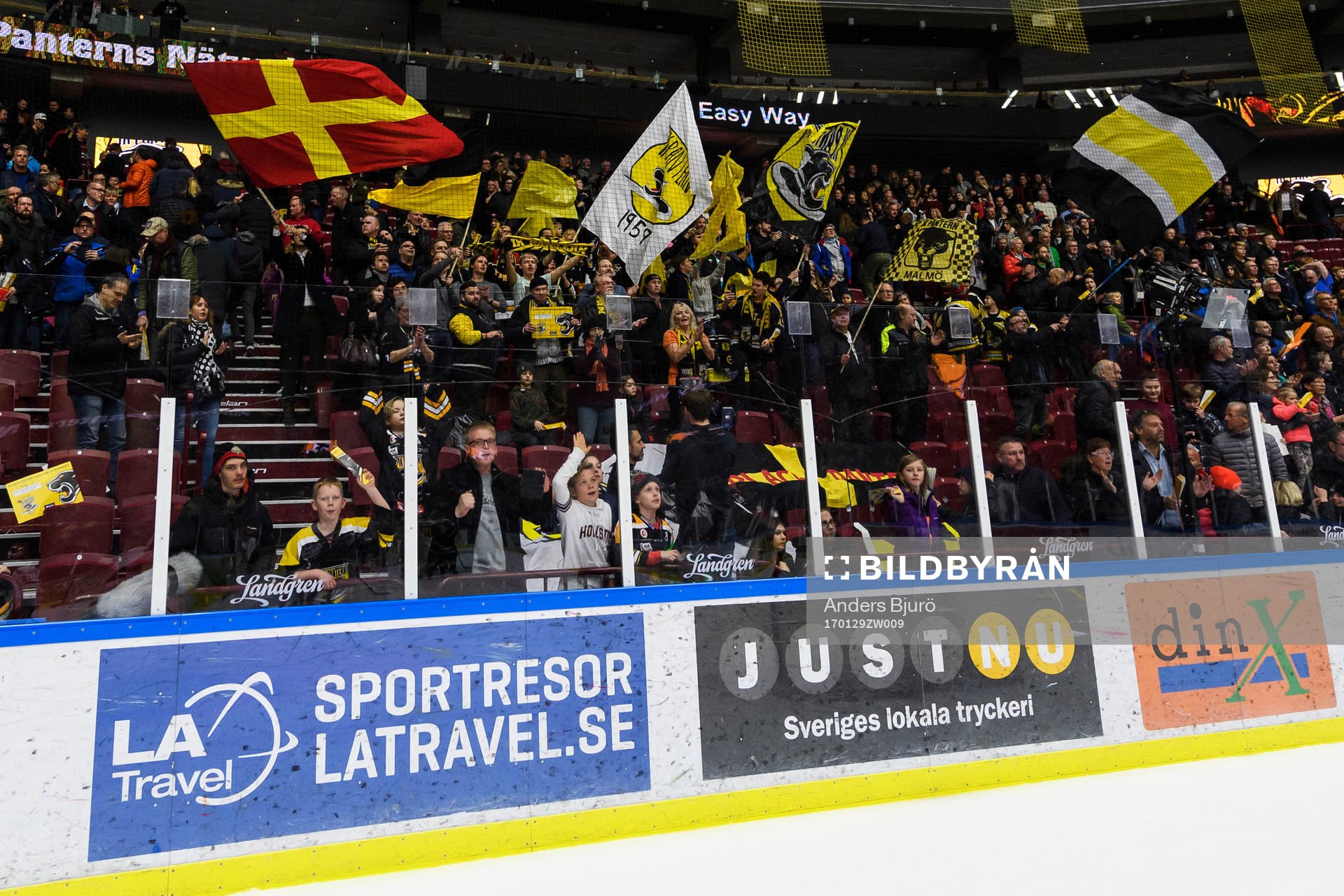 Panterns supporters jublar
