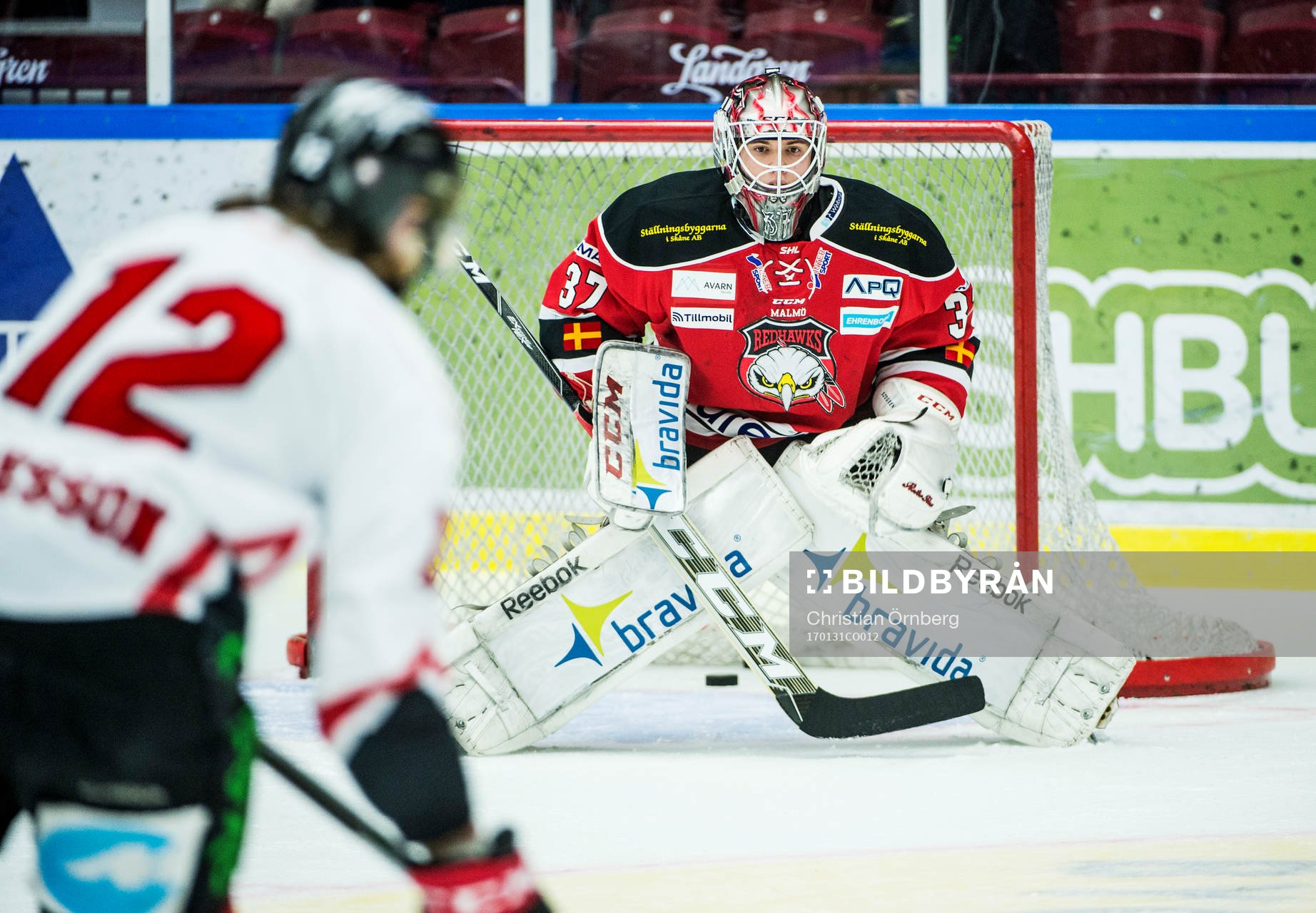 Malmö Redhawks målvakt Anton Malmborg  värmer upp innan