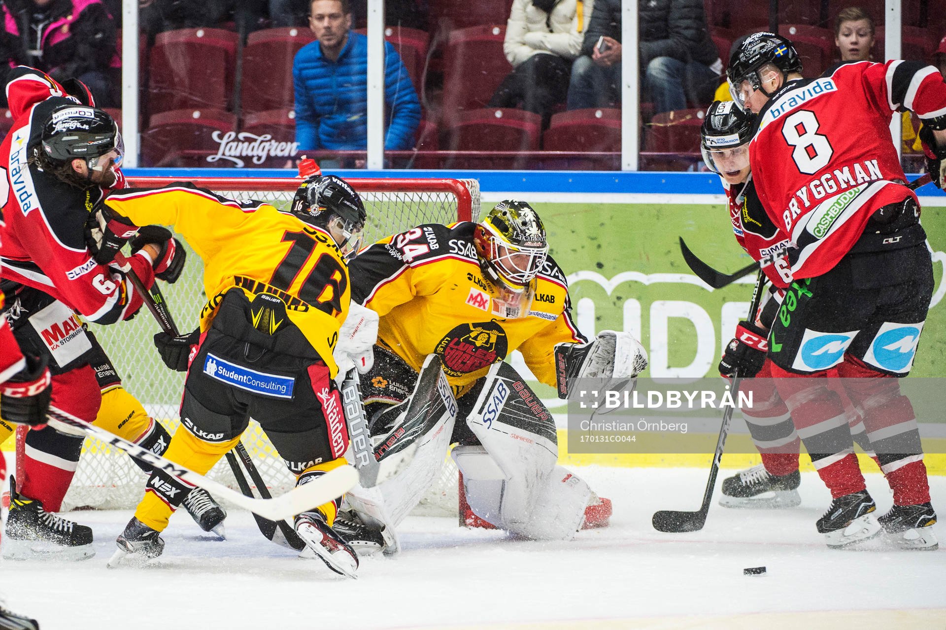 Malmö Redhawks Lars Bryggman, Fredrik Händemark och