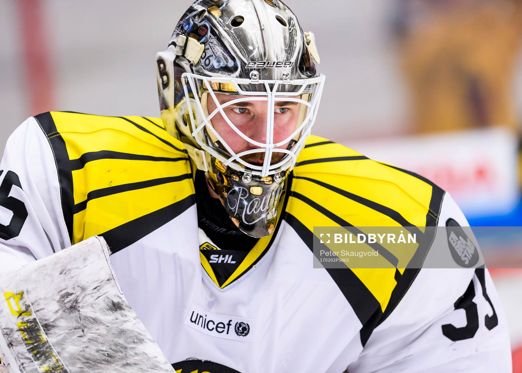 Brynäs målvakt David Rautio