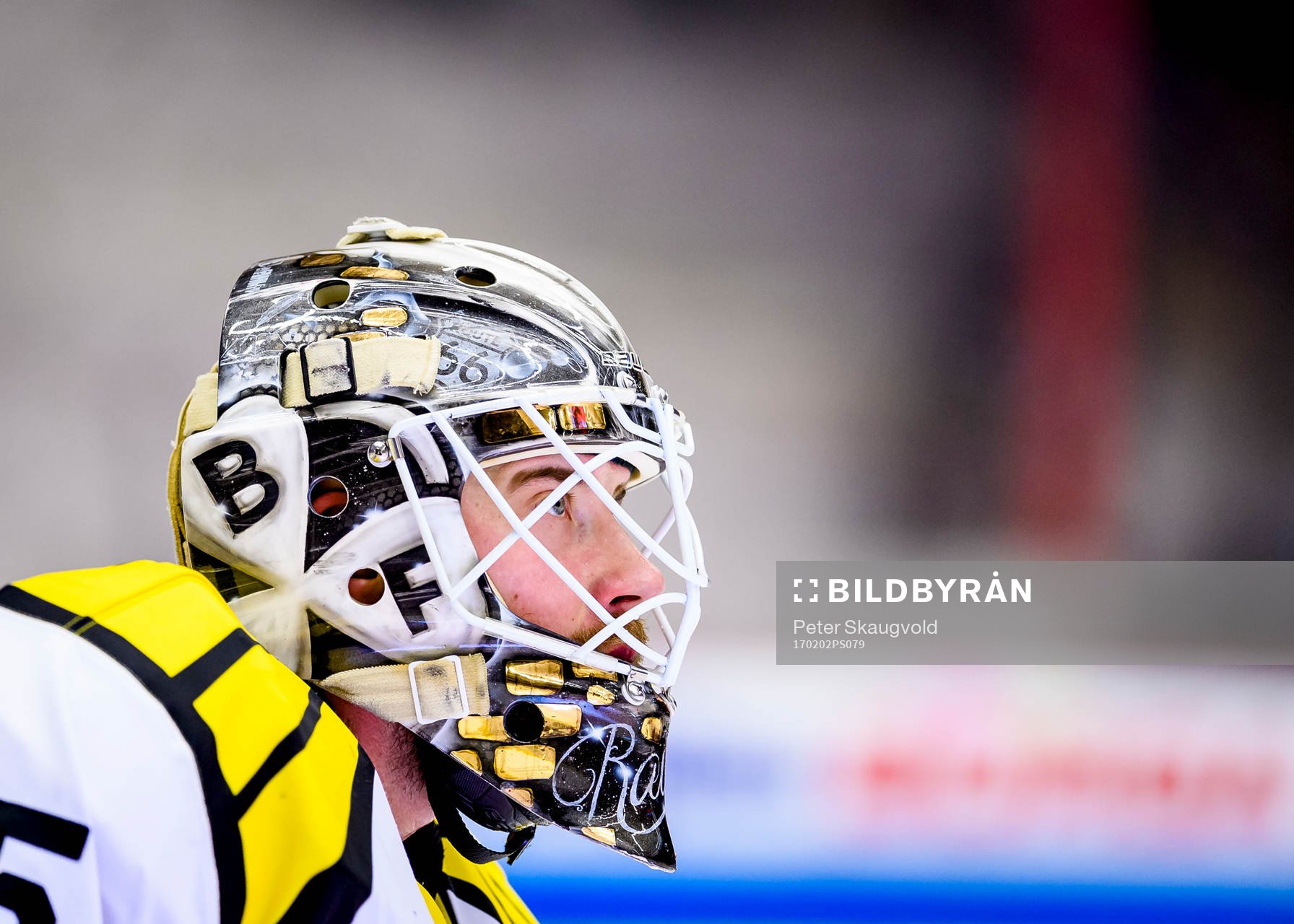 Brynäs målvakt David Rautio