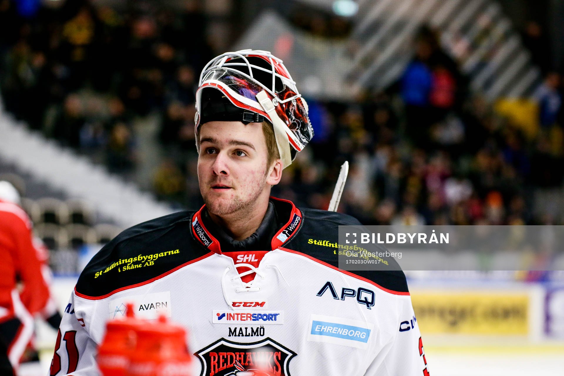 Malmö Redhawks målvakt  Tim Hultstrand