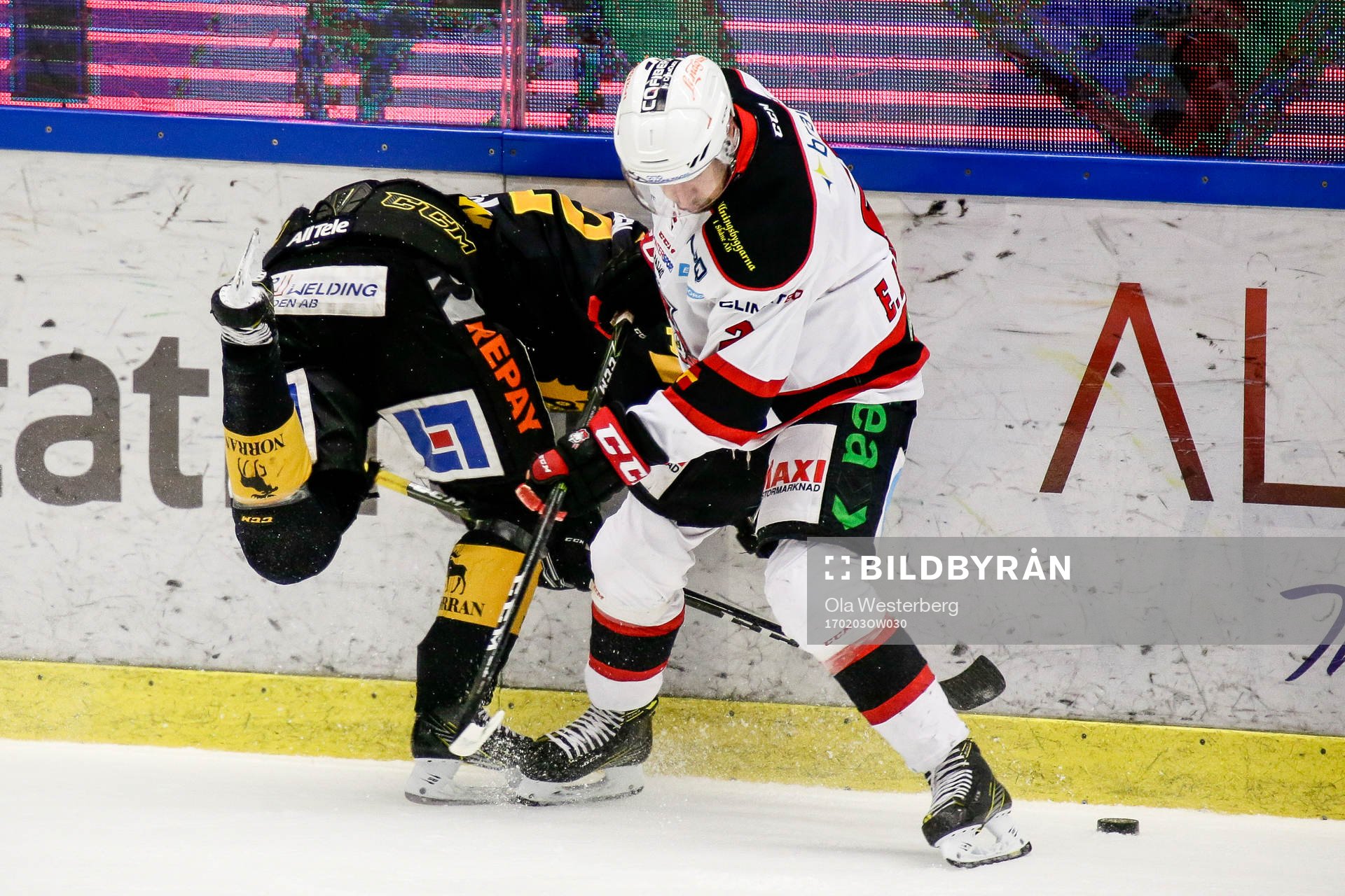 Skellefteås Adam Pettersson