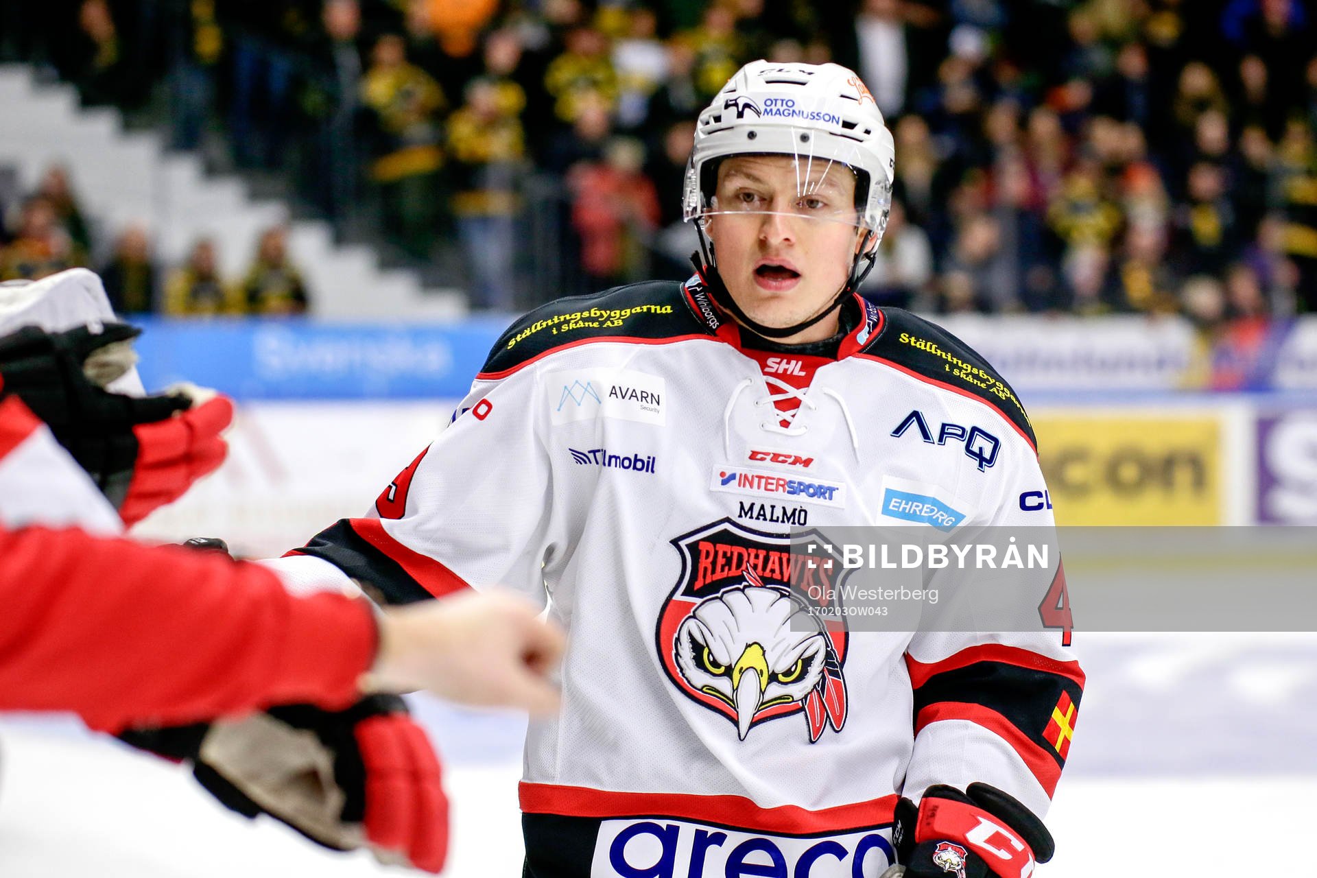 Malmö Redhawks Rhett Rakhshani jublar