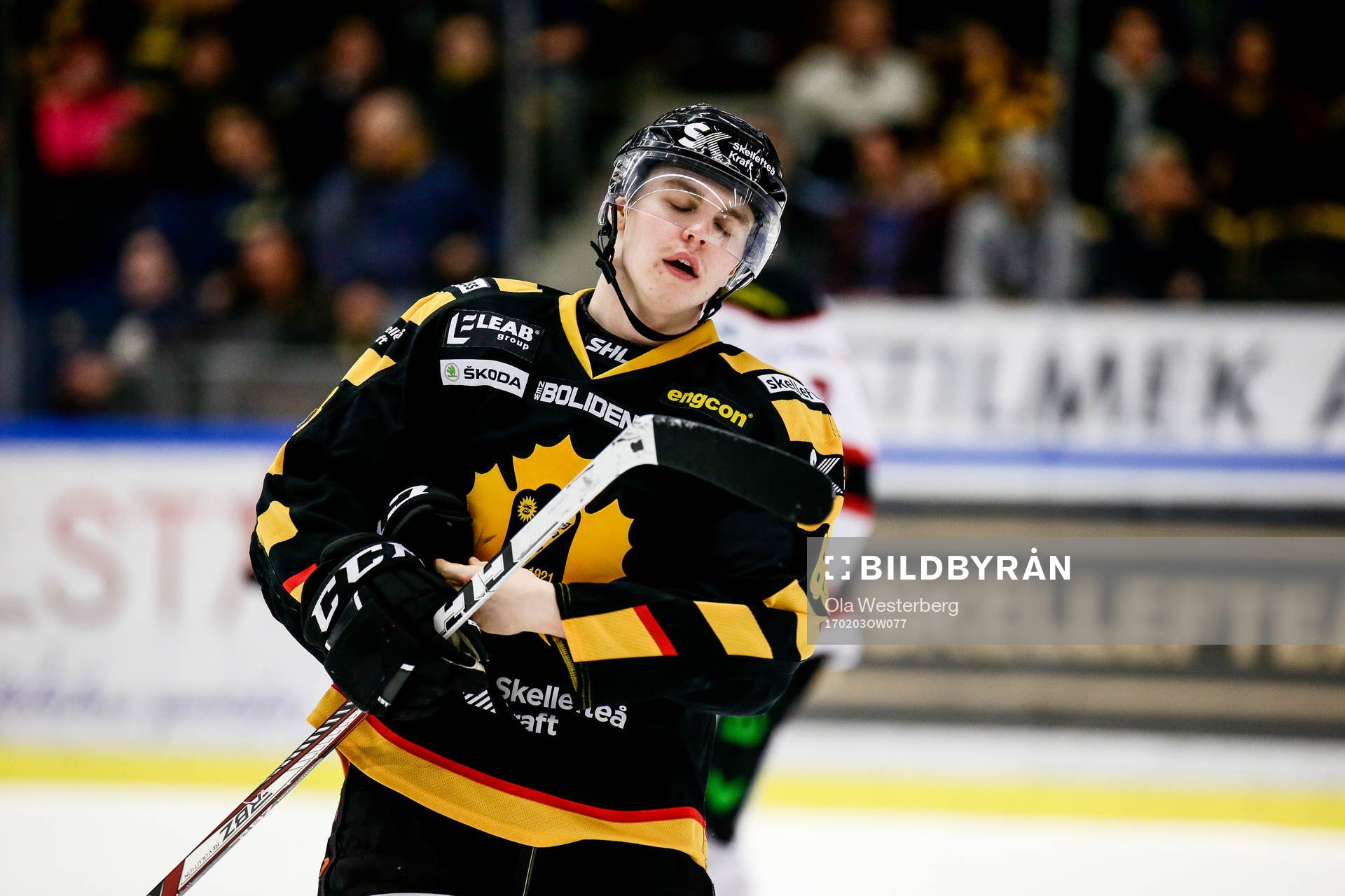 Skellefteås Sebastian Aho