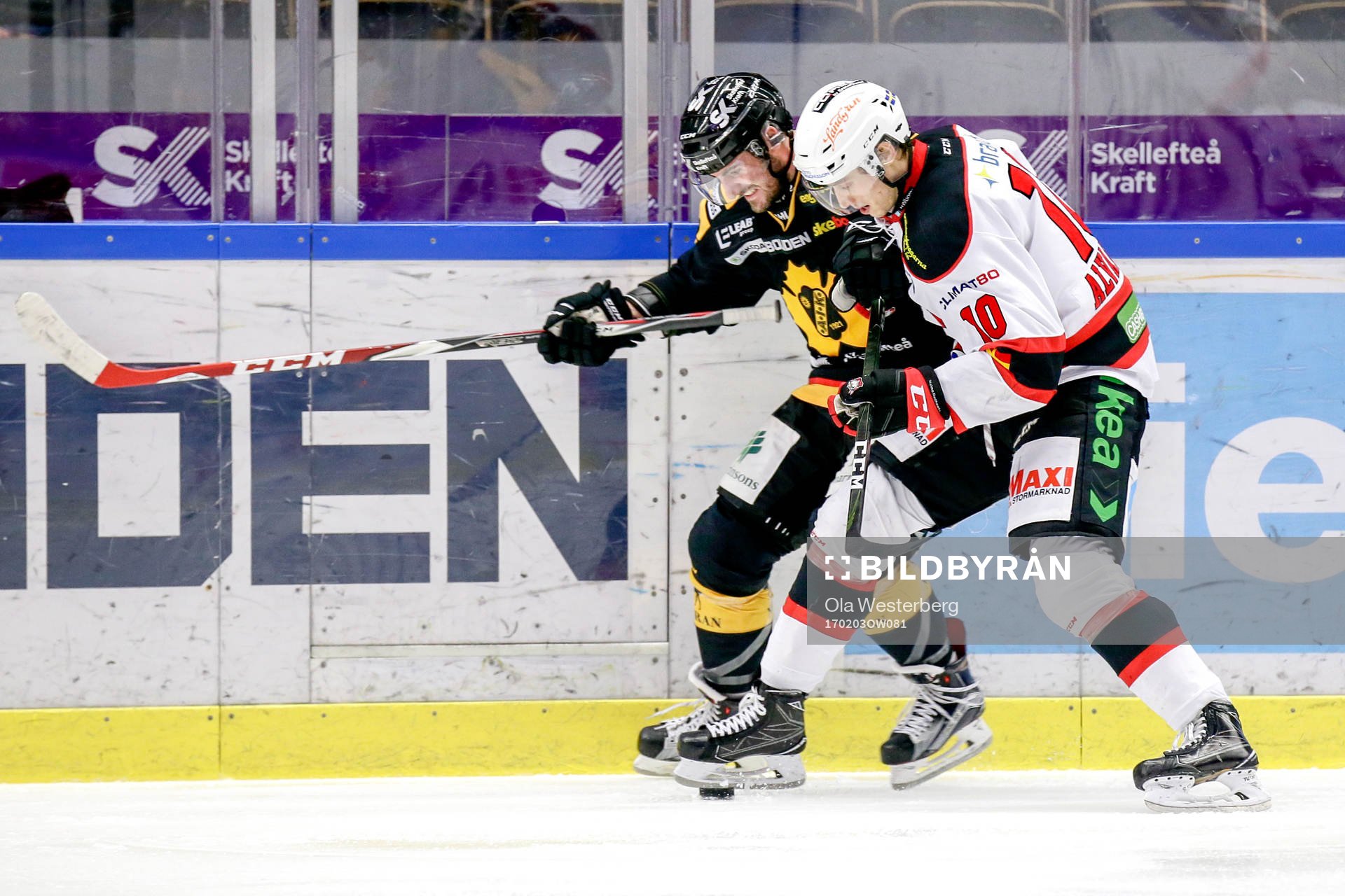 Skellefteås Bud Holloway och Malmö Redhawks Robin Alvarez