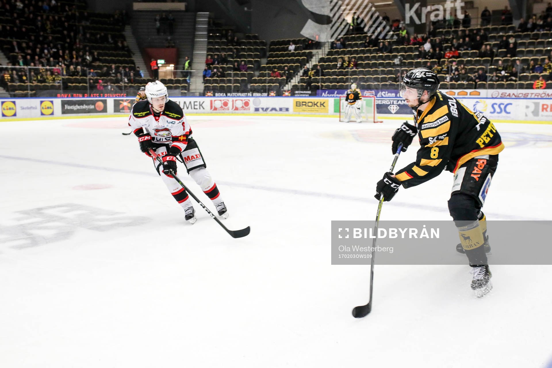 Skellefteås Marcus Pettersson