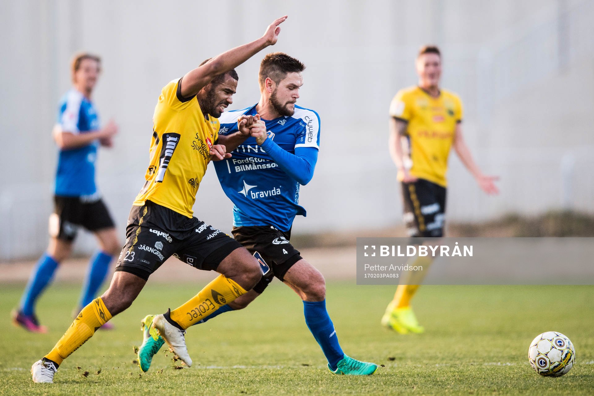 Elfsborgs Alex Dyer