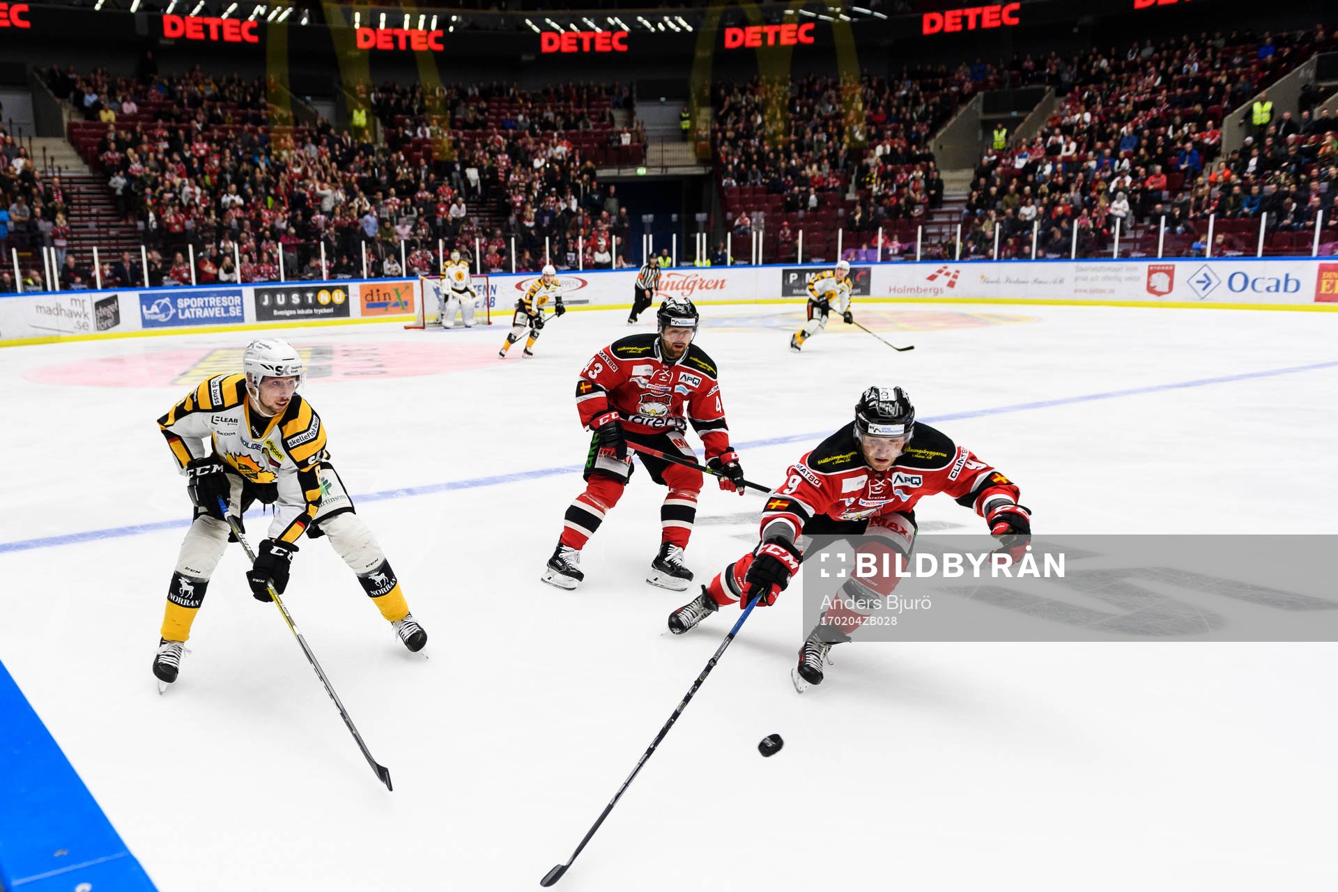 Skellefteås Pontus Petterström och Malmö Redhawks