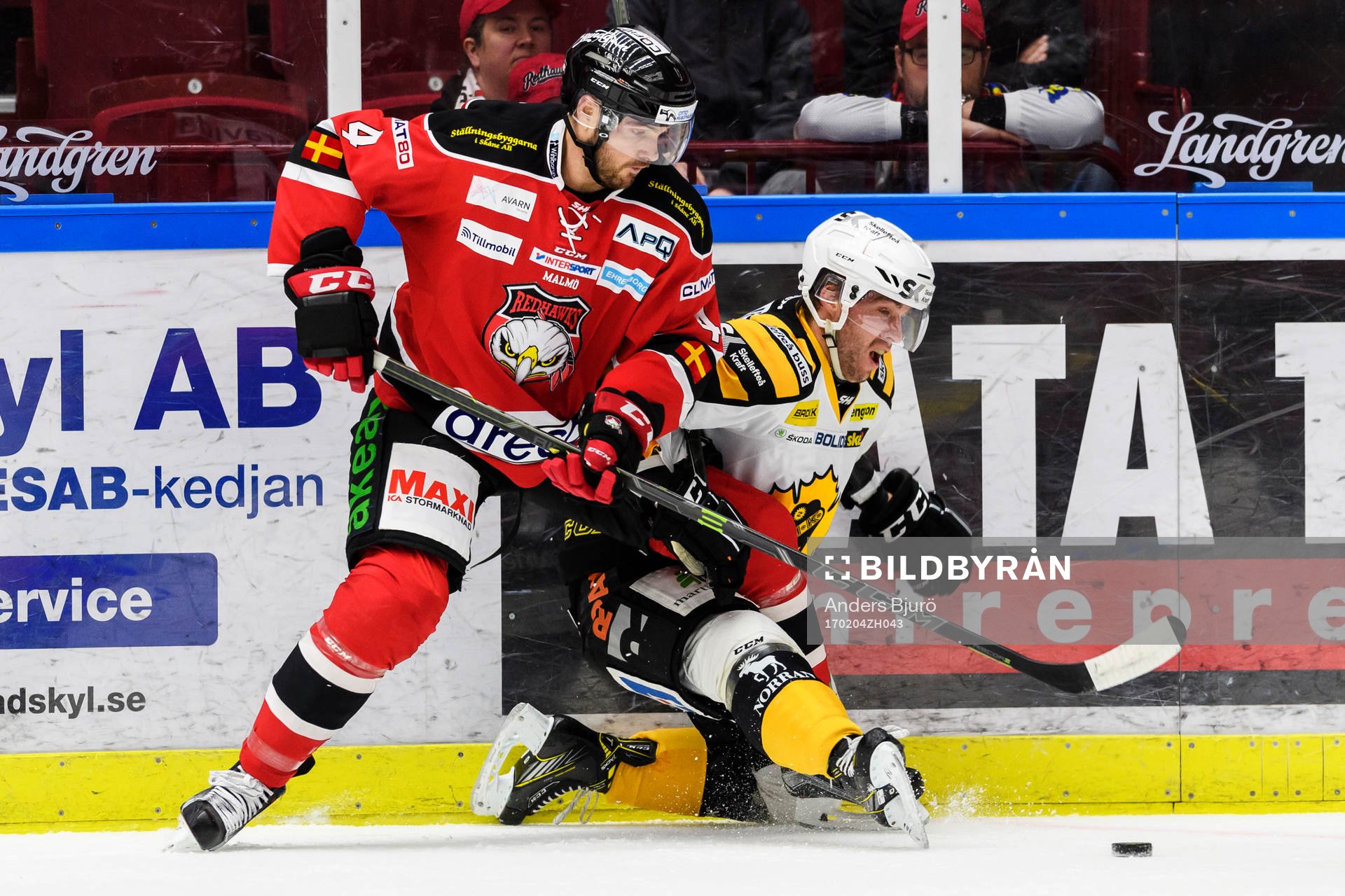 Malmö Redhawks Noah Welch