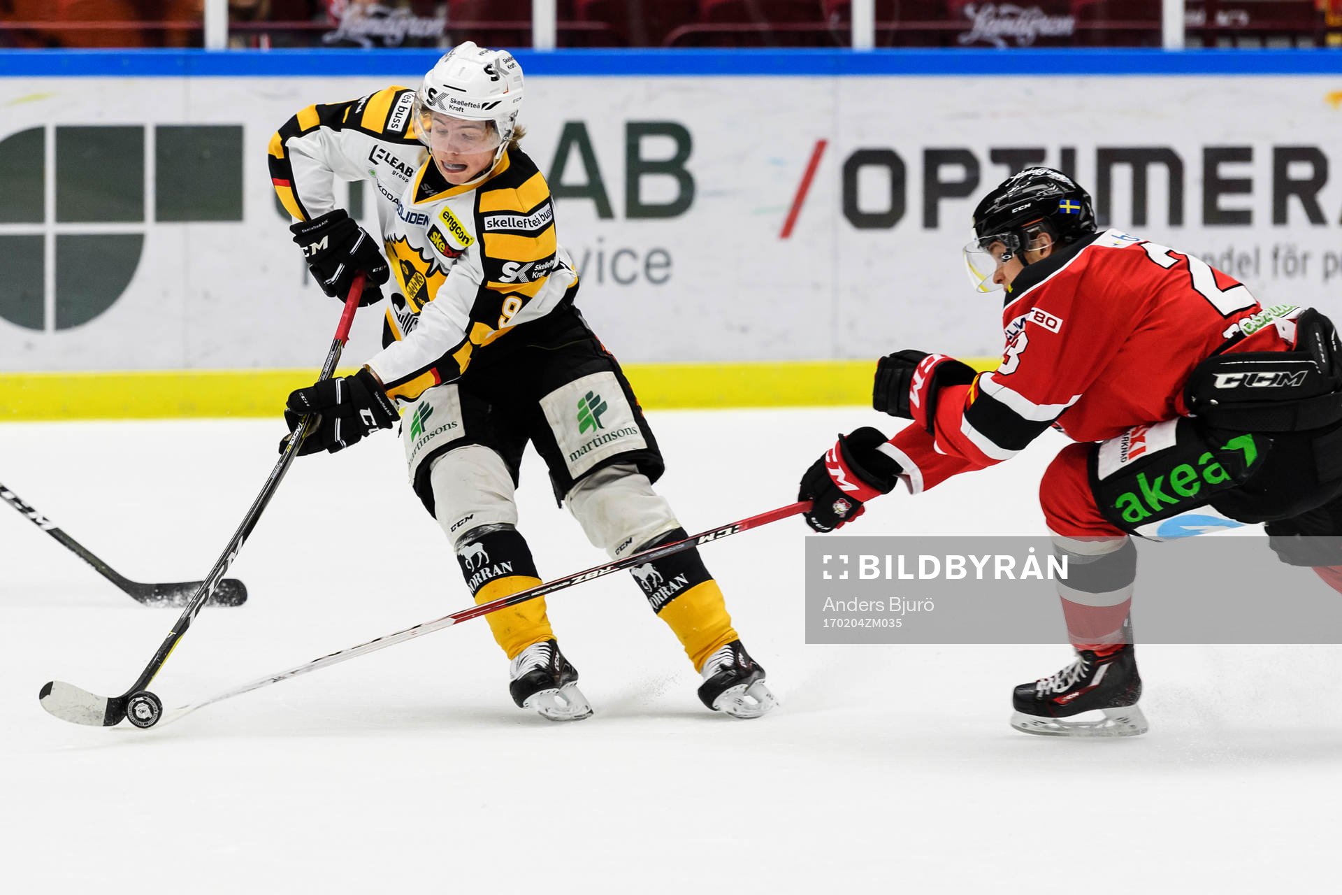 Skellefteås Tim Söderlund