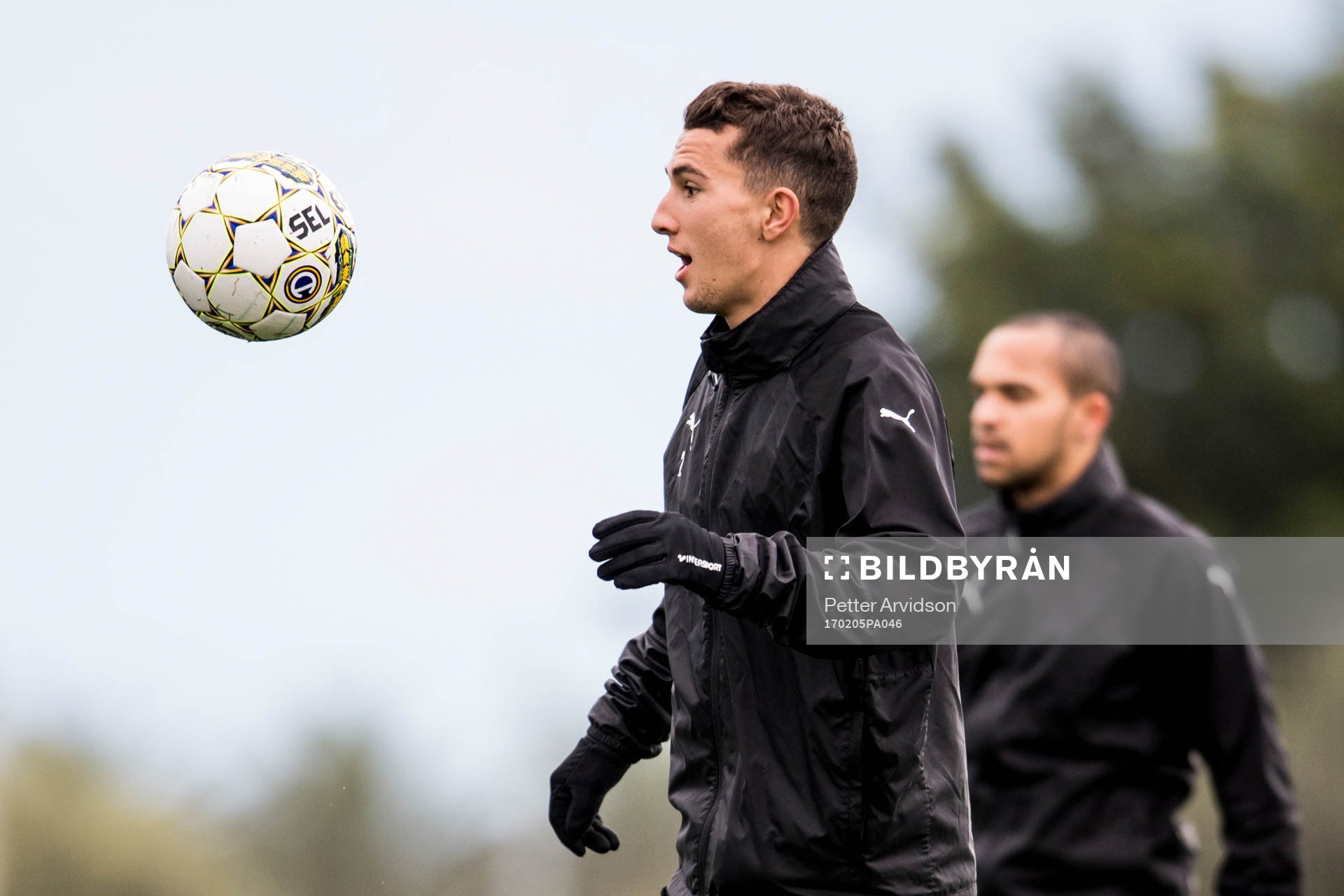 Adnan Kojic