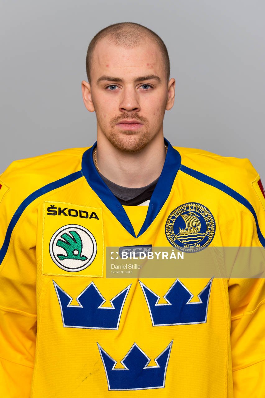Sveriges Daniel Brodin