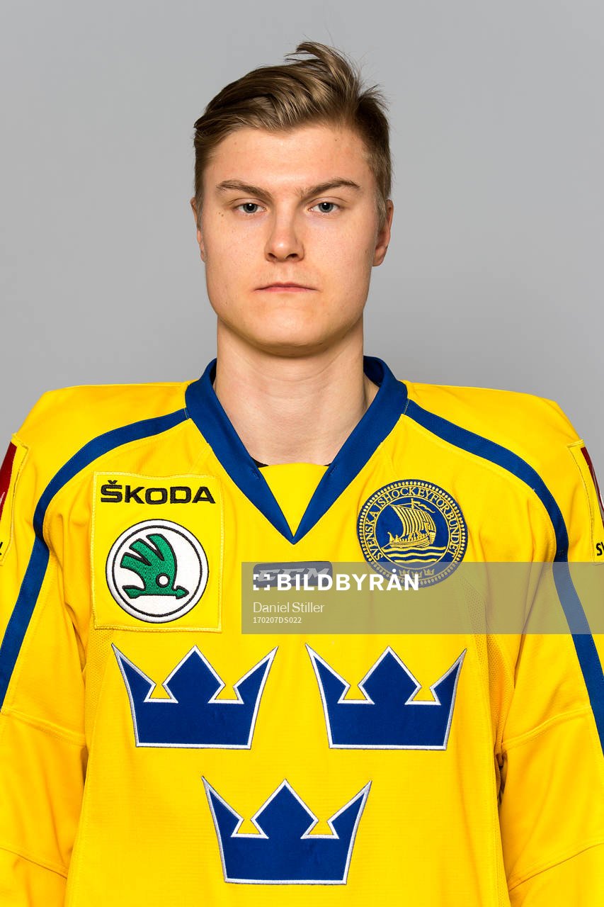 Sveriges Fredrik Händemark