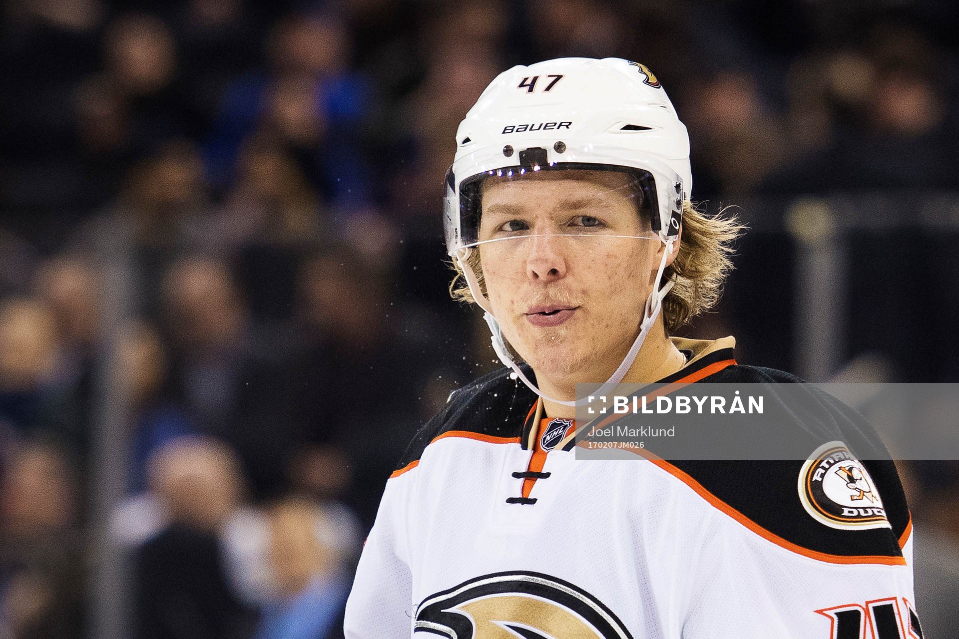 Ducks Hampus Lindholm