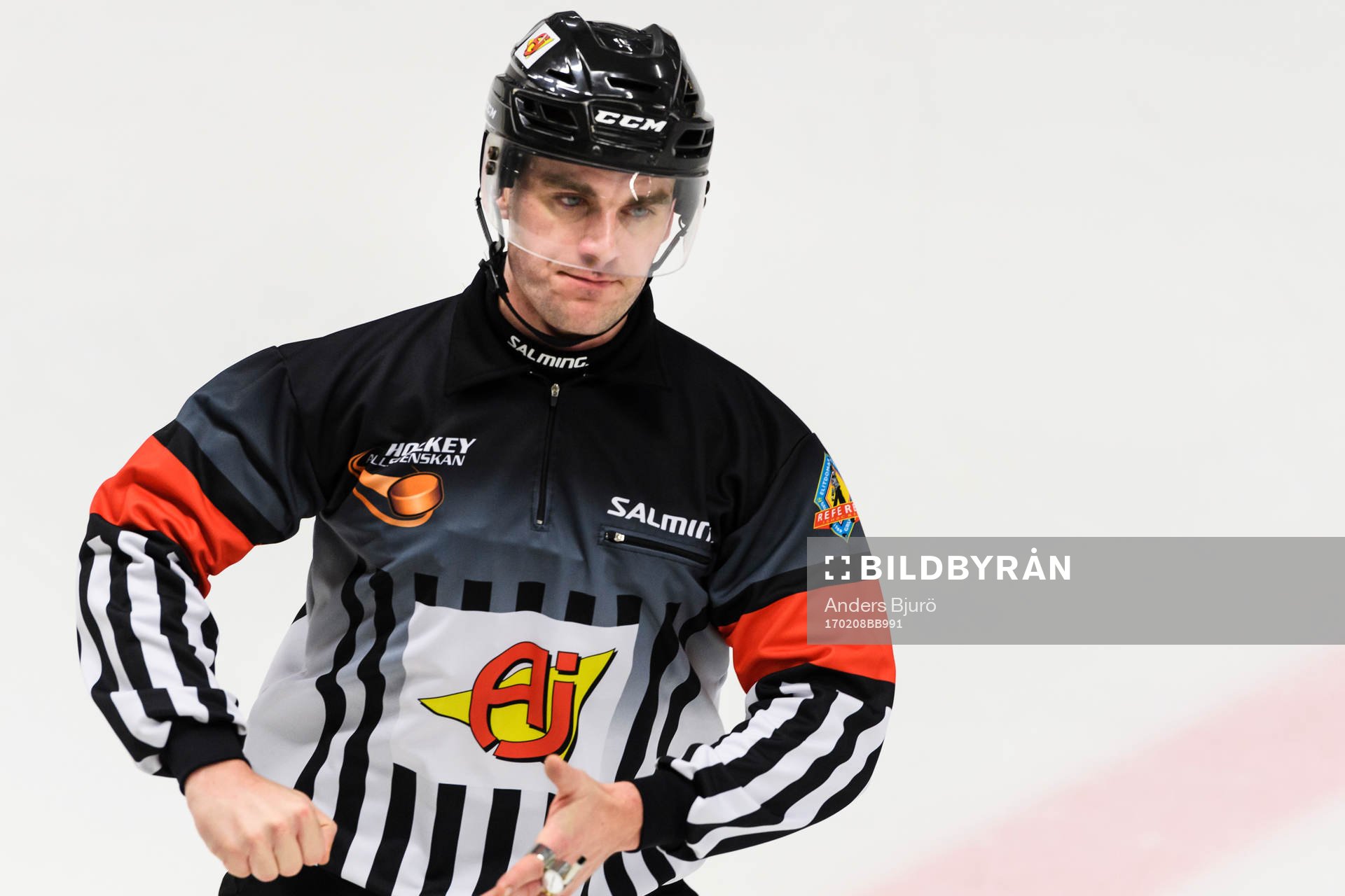 Domare Richard Magnusson