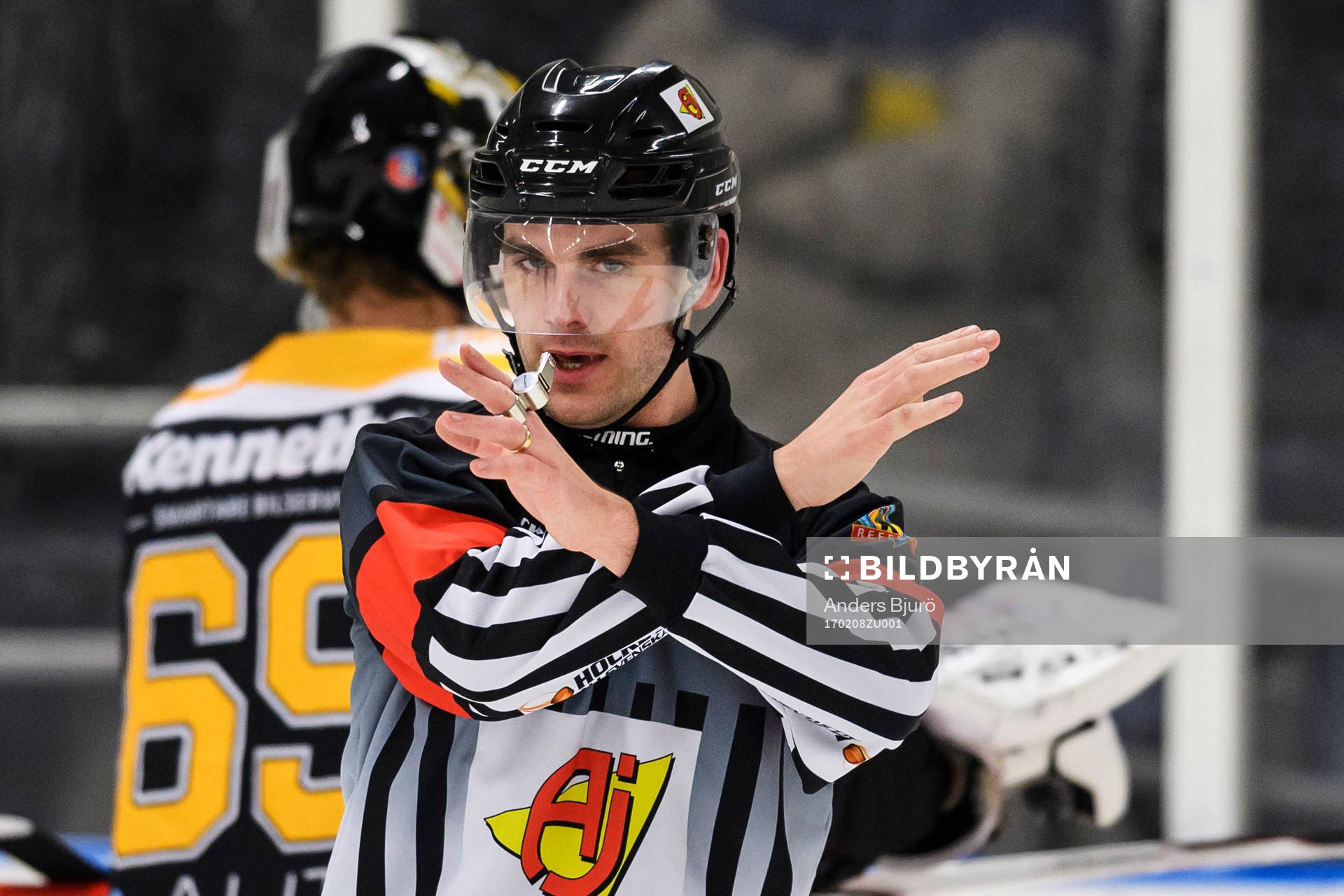 Domare Richard Magnusson