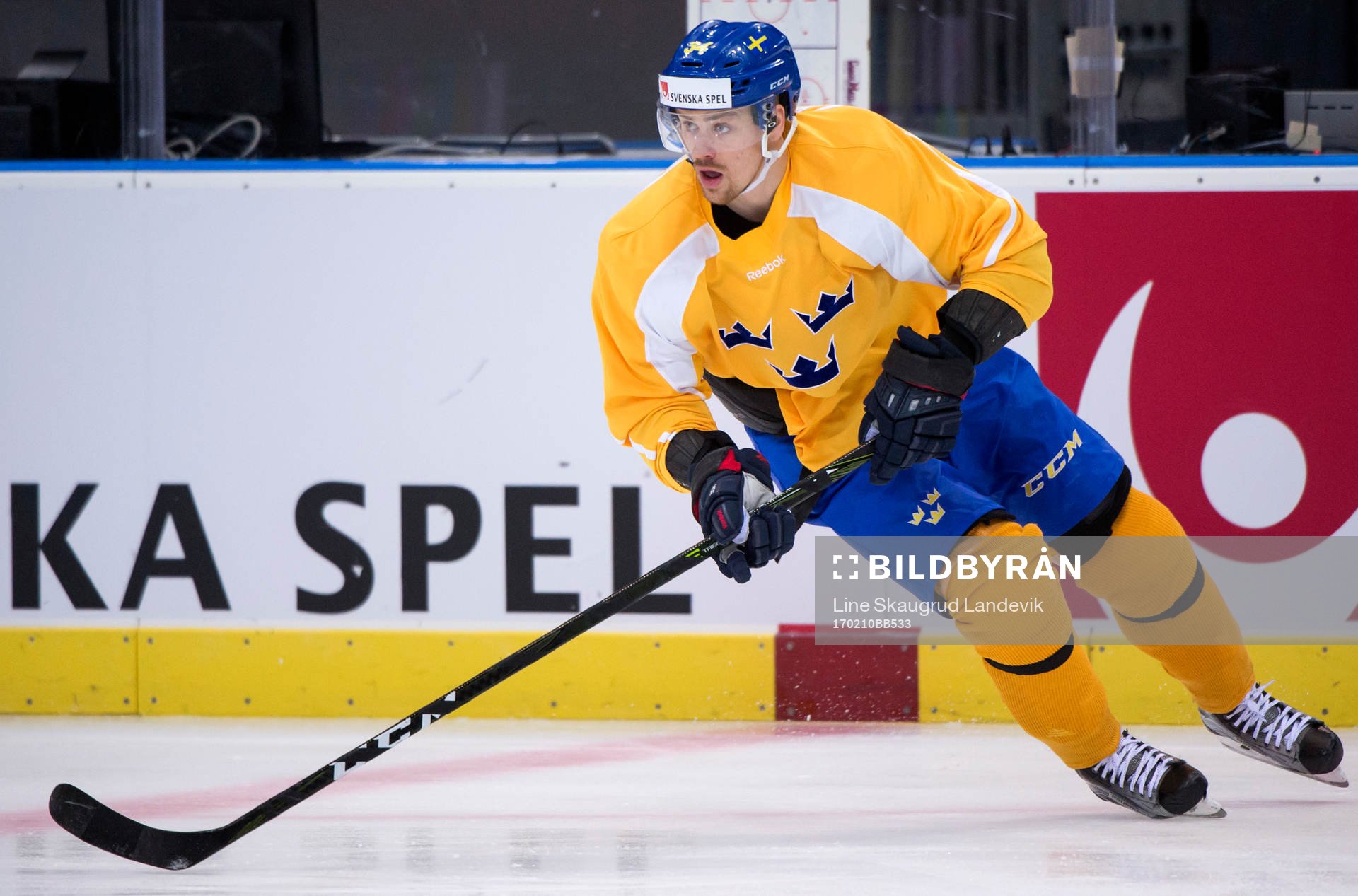 Daniel Brodin