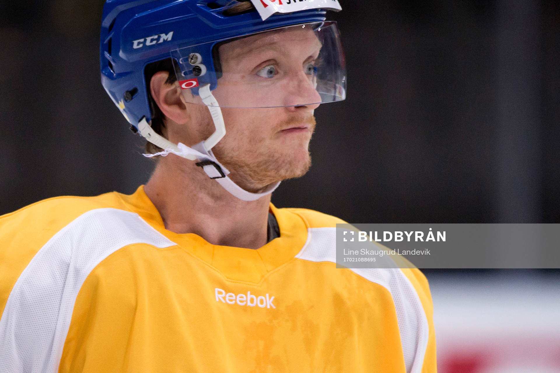 Carl Klingberg