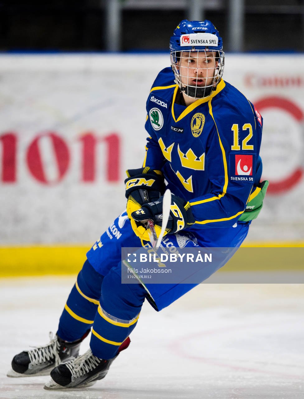 Sveriges Luca Elvenes