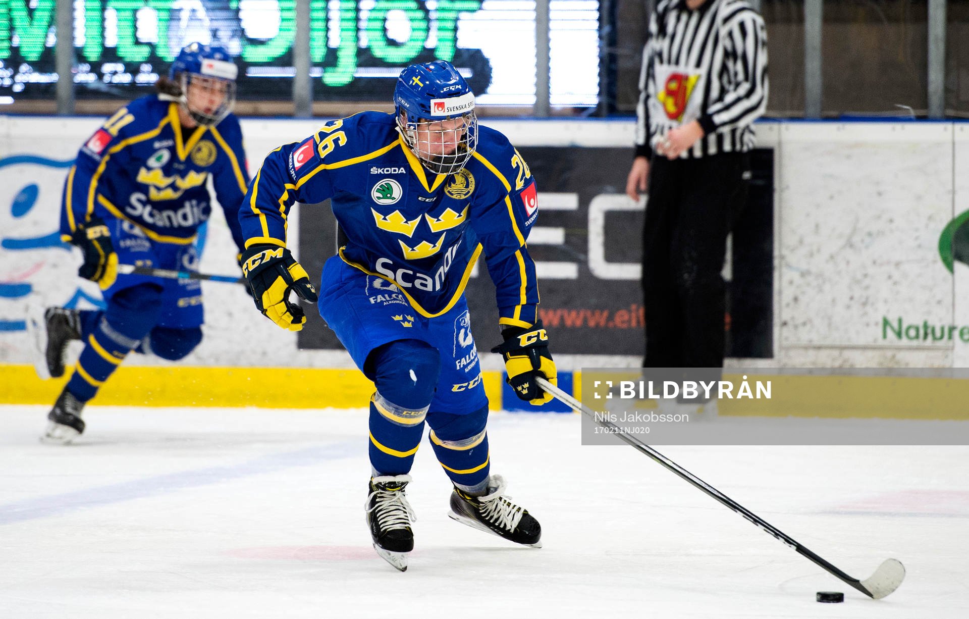 Sveriges Fabian Zetterlund
